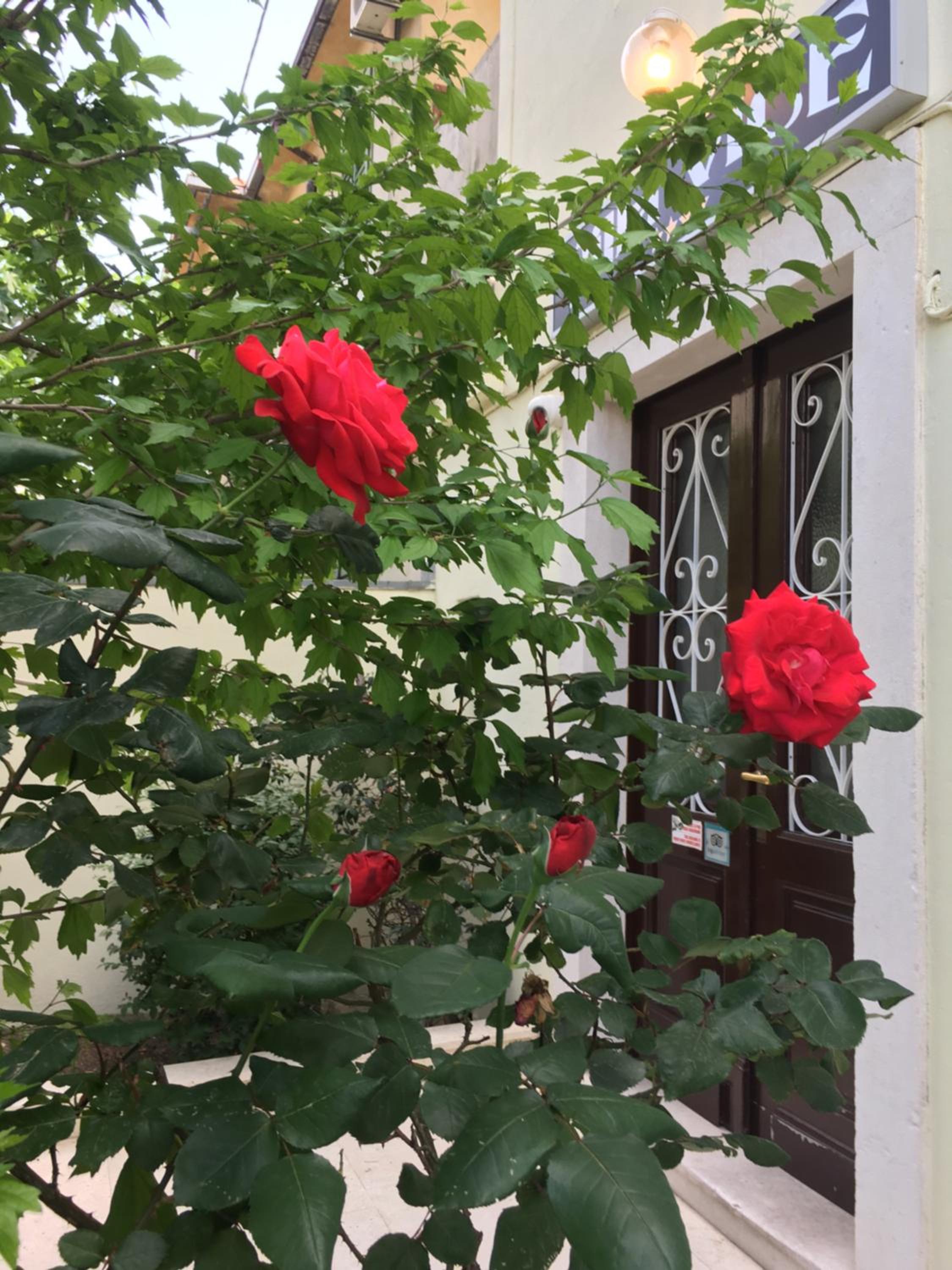 Guesthouse Villa Vice