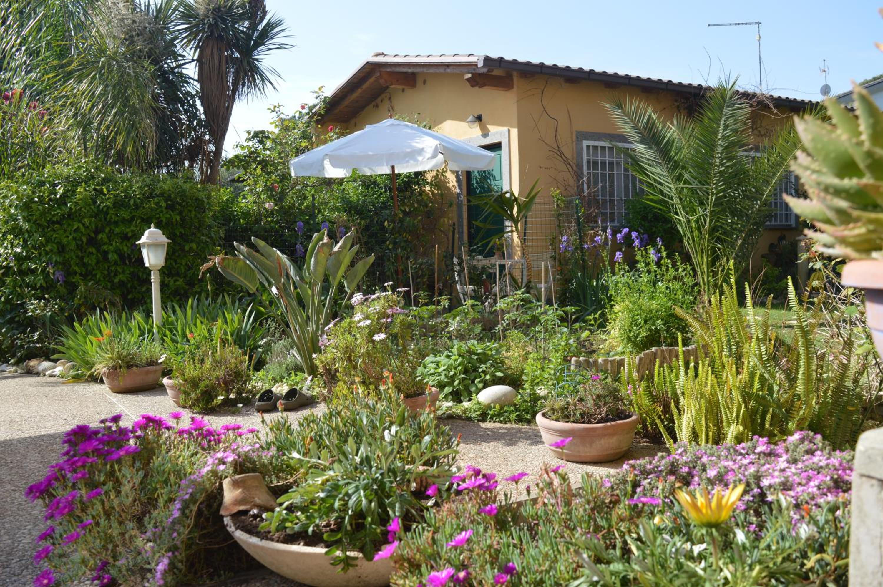 Photo 20
