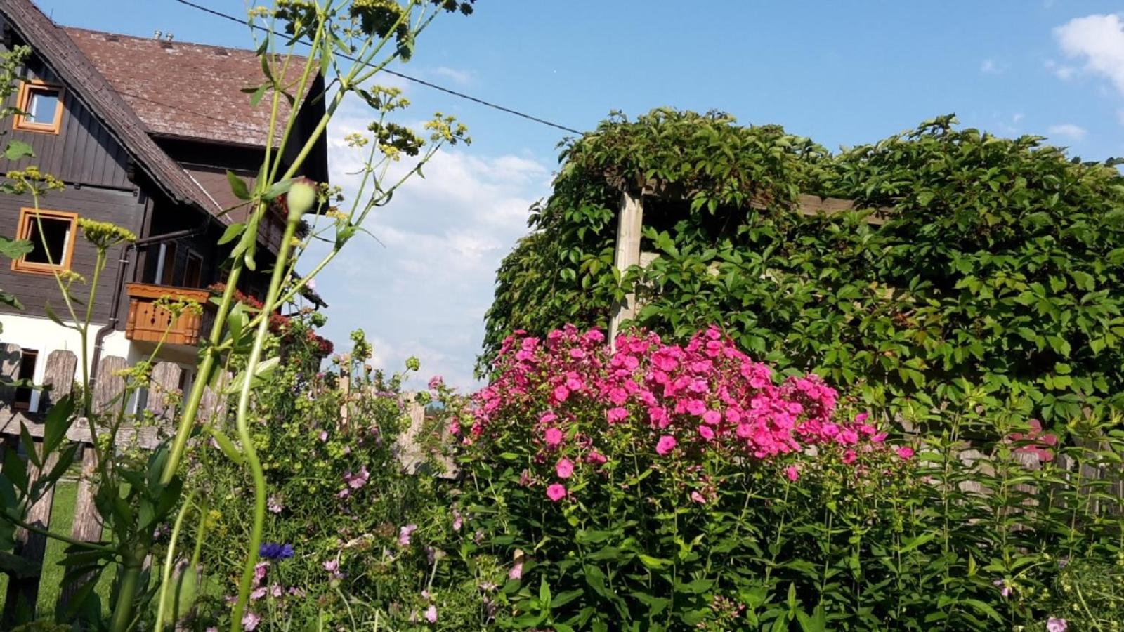 Pension Trillerhof