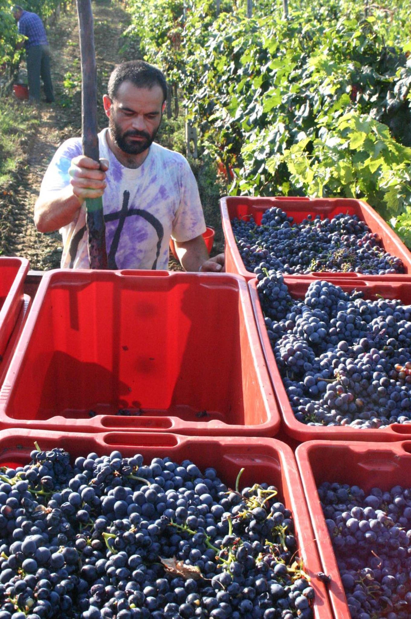 Agriturismo La Pietriccia