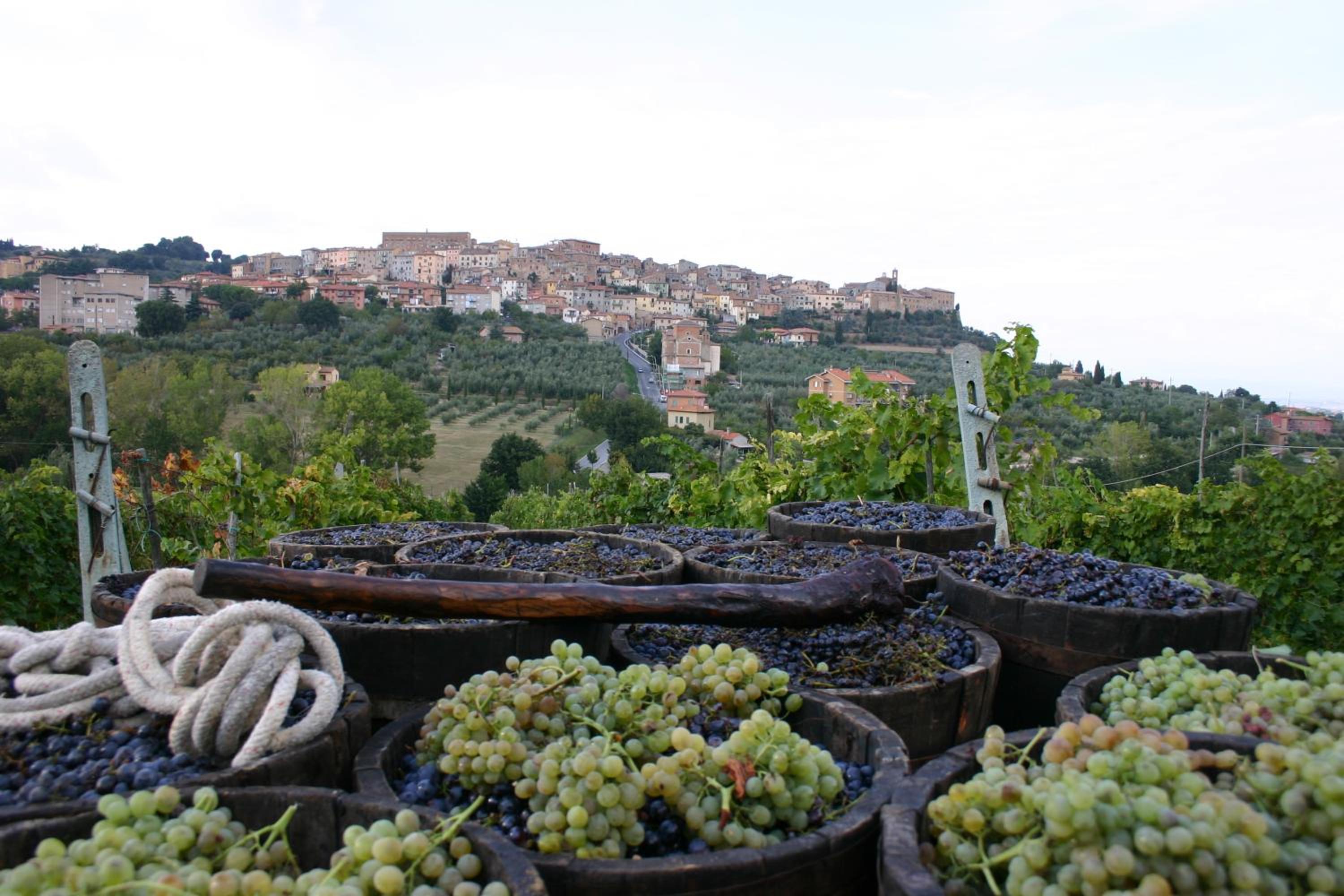 Agriturismo La Pietriccia