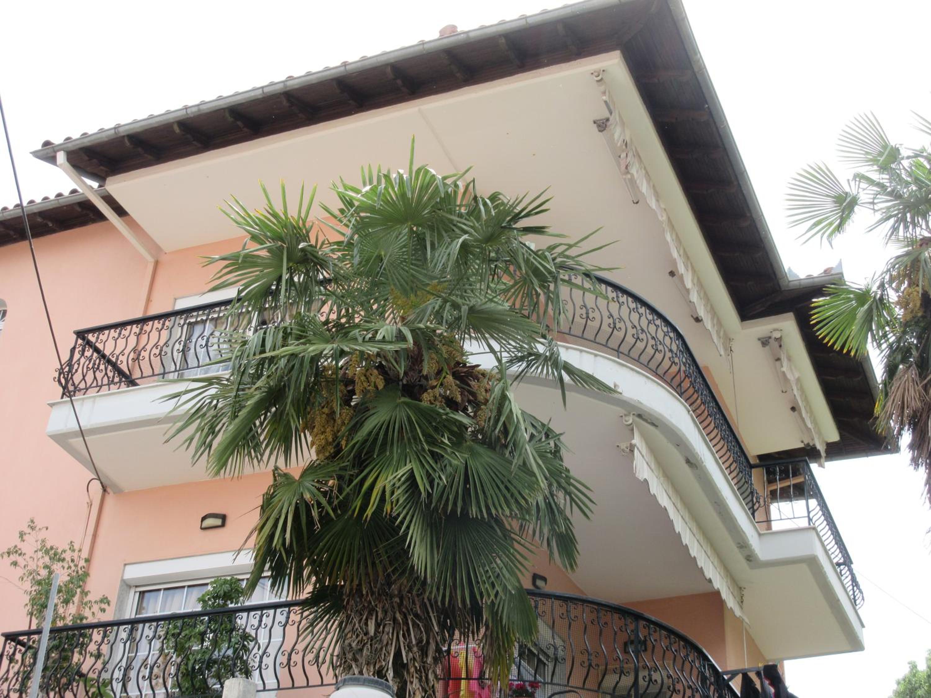Toula Apartment