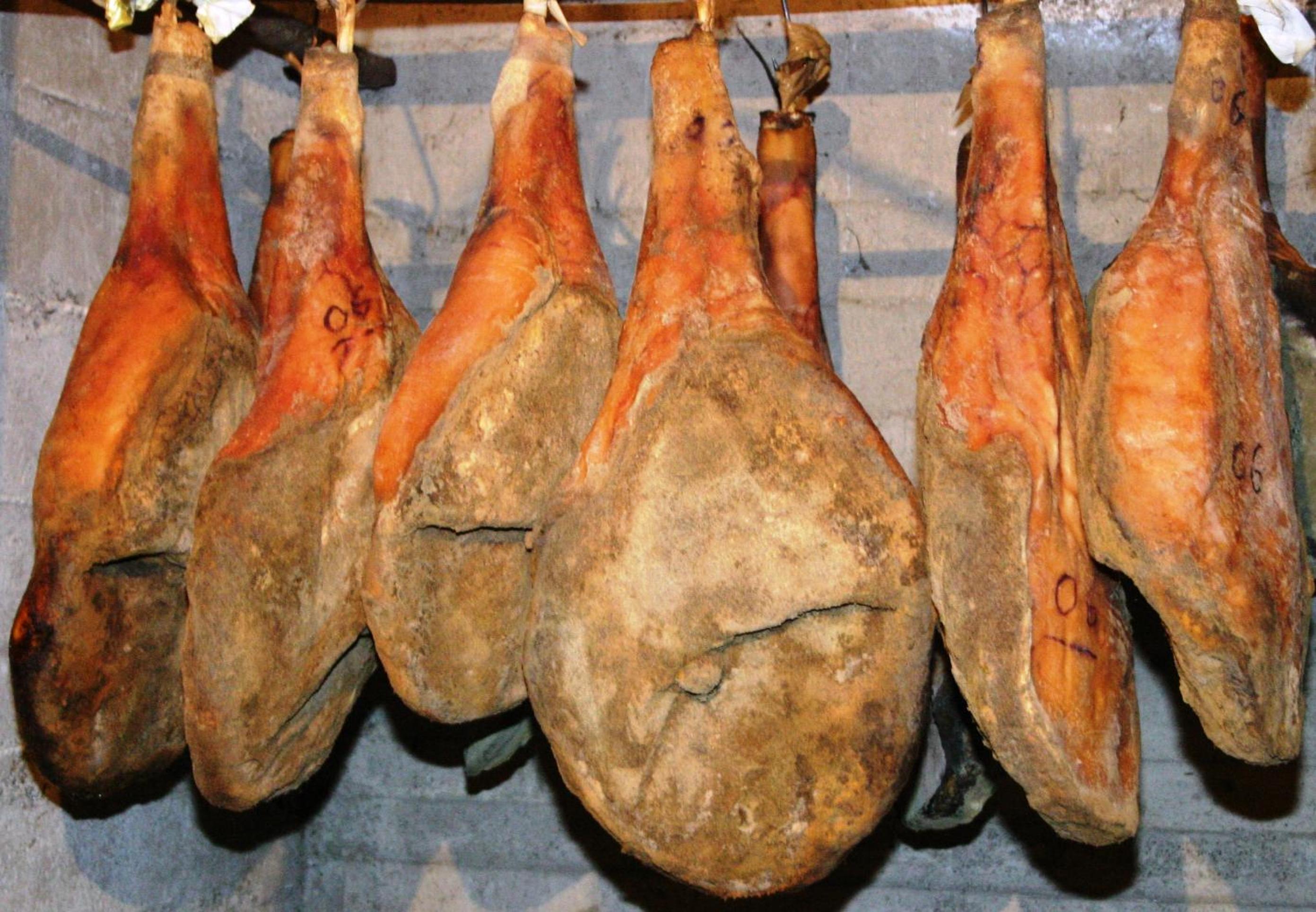 Agriturismo La Pietriccia