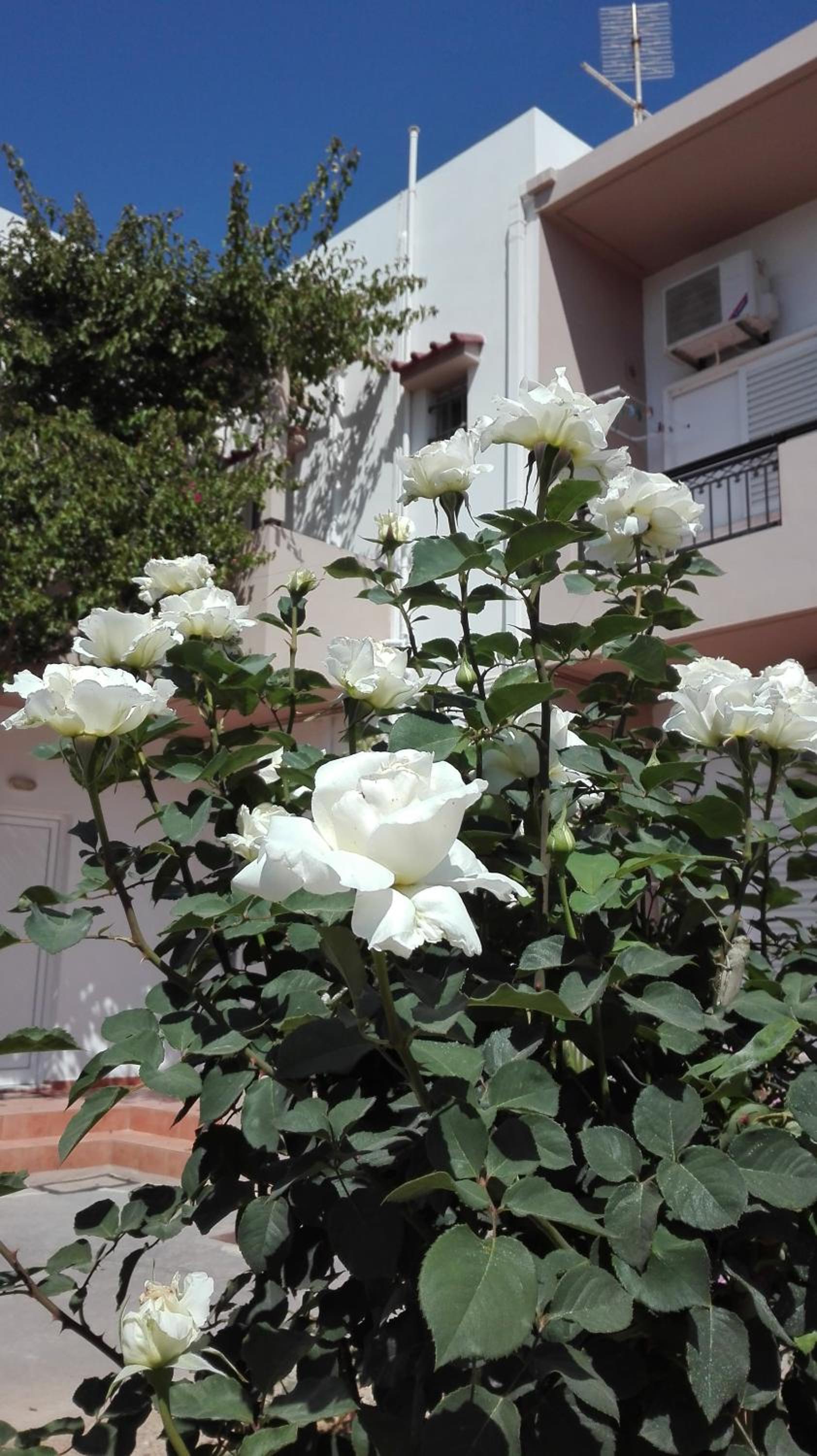 Photo 49