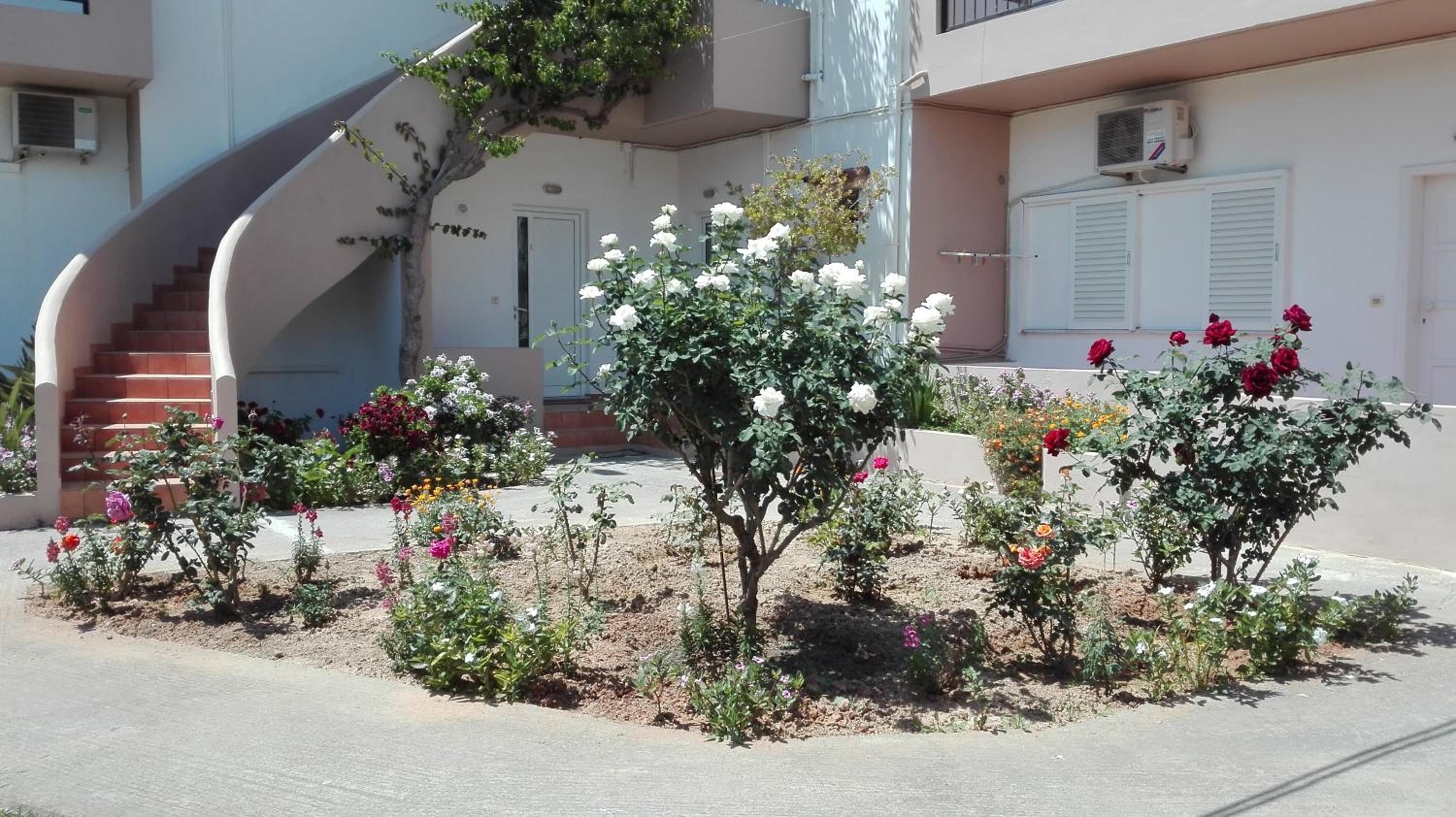 Photo 46