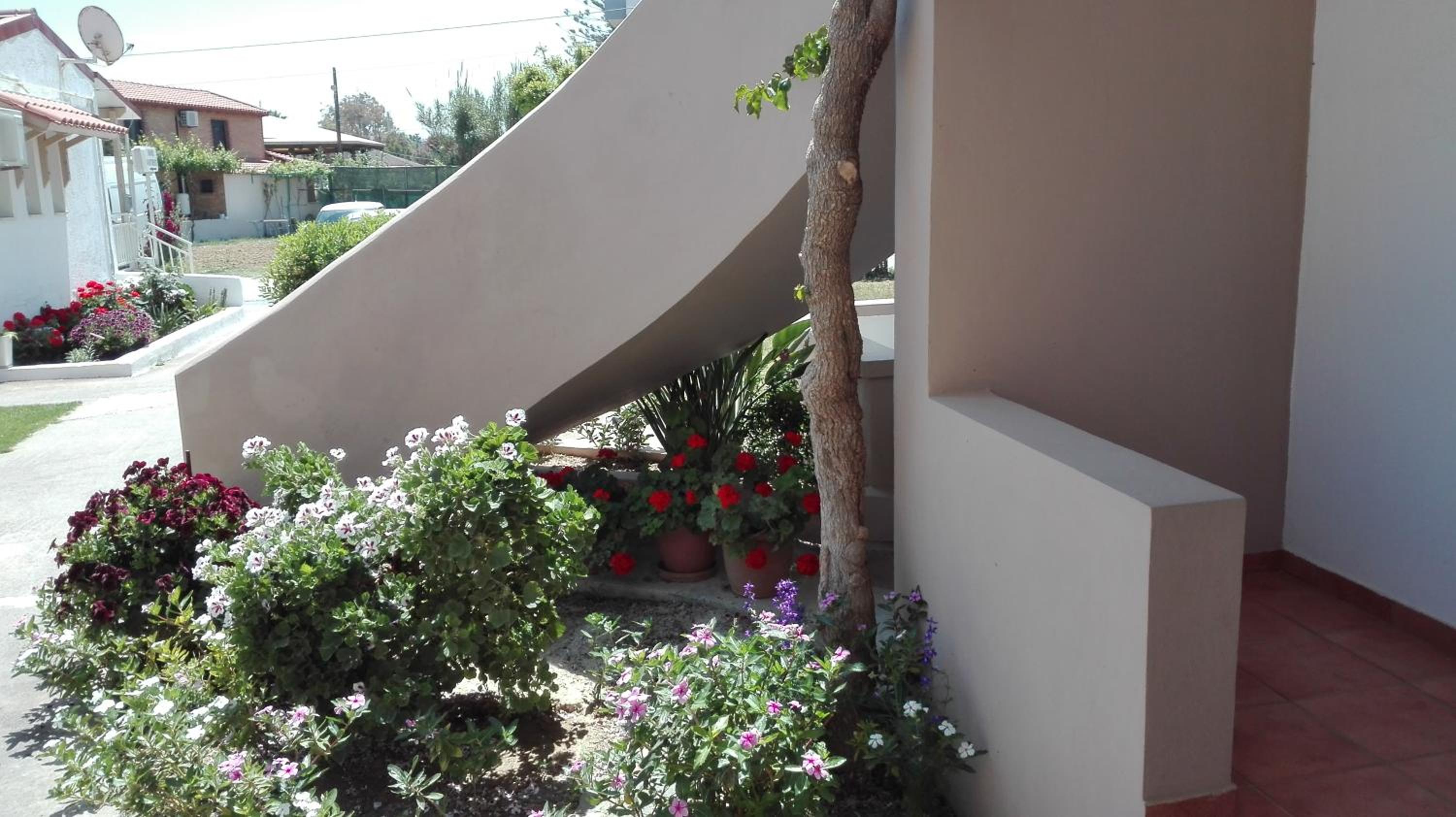 Photo 44