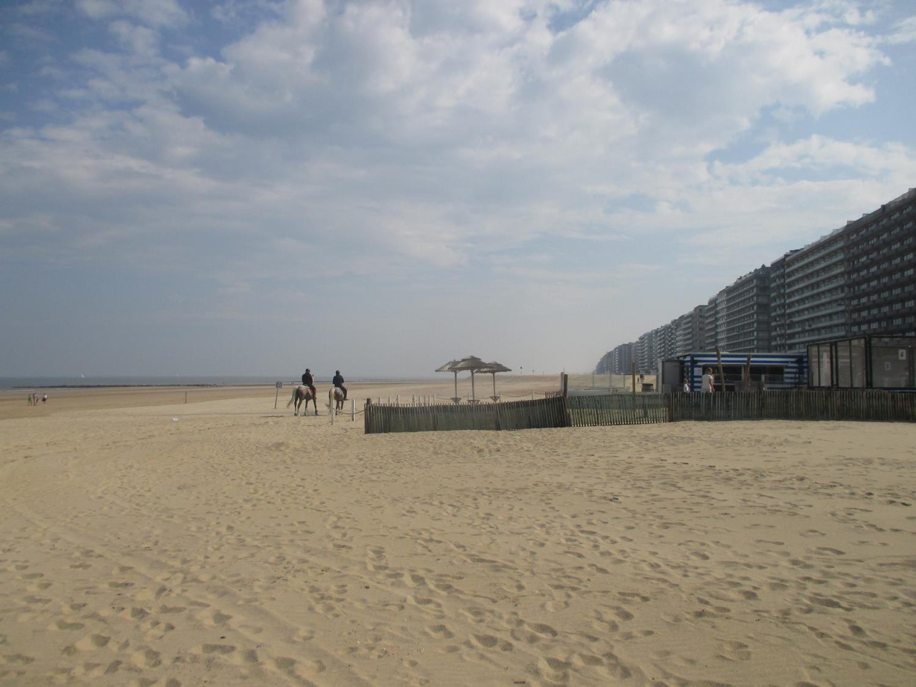 Studio On The Beach With Sea View