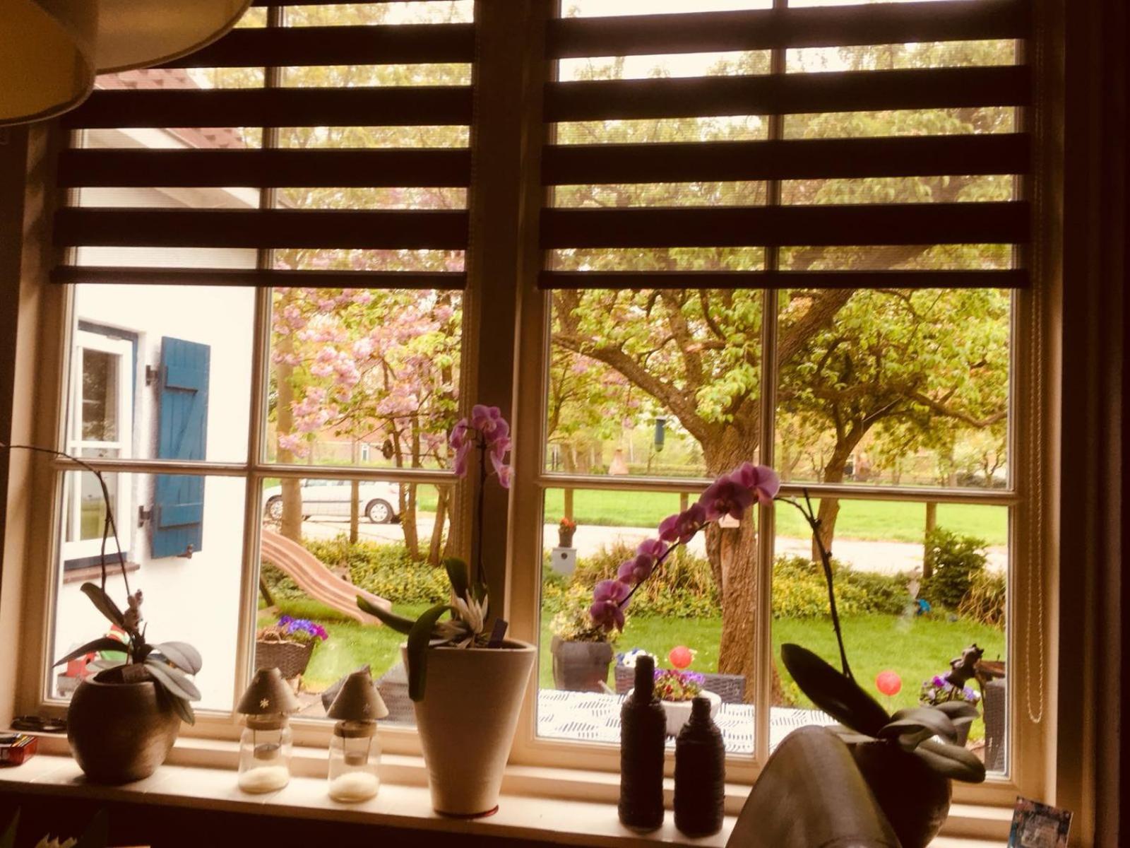 B&B Marialin view 2