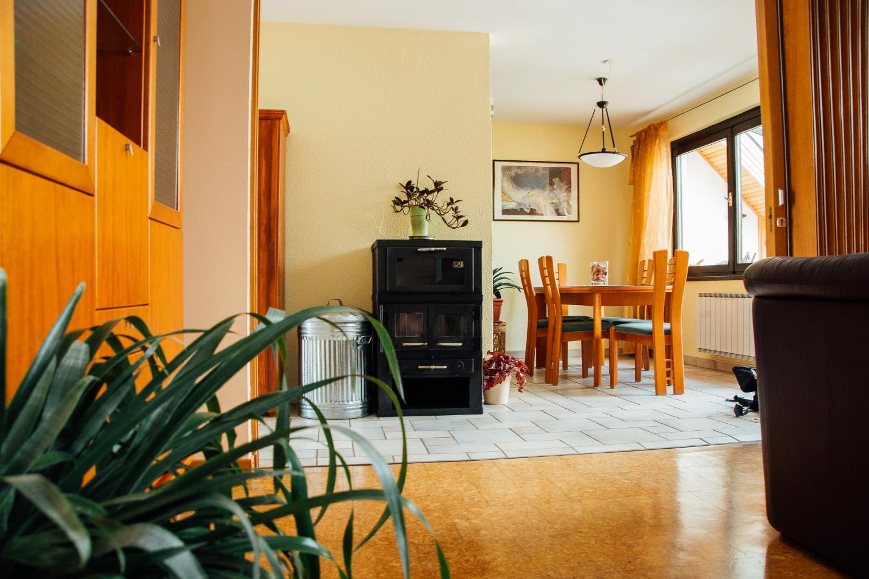 Apartment Bor view 5
