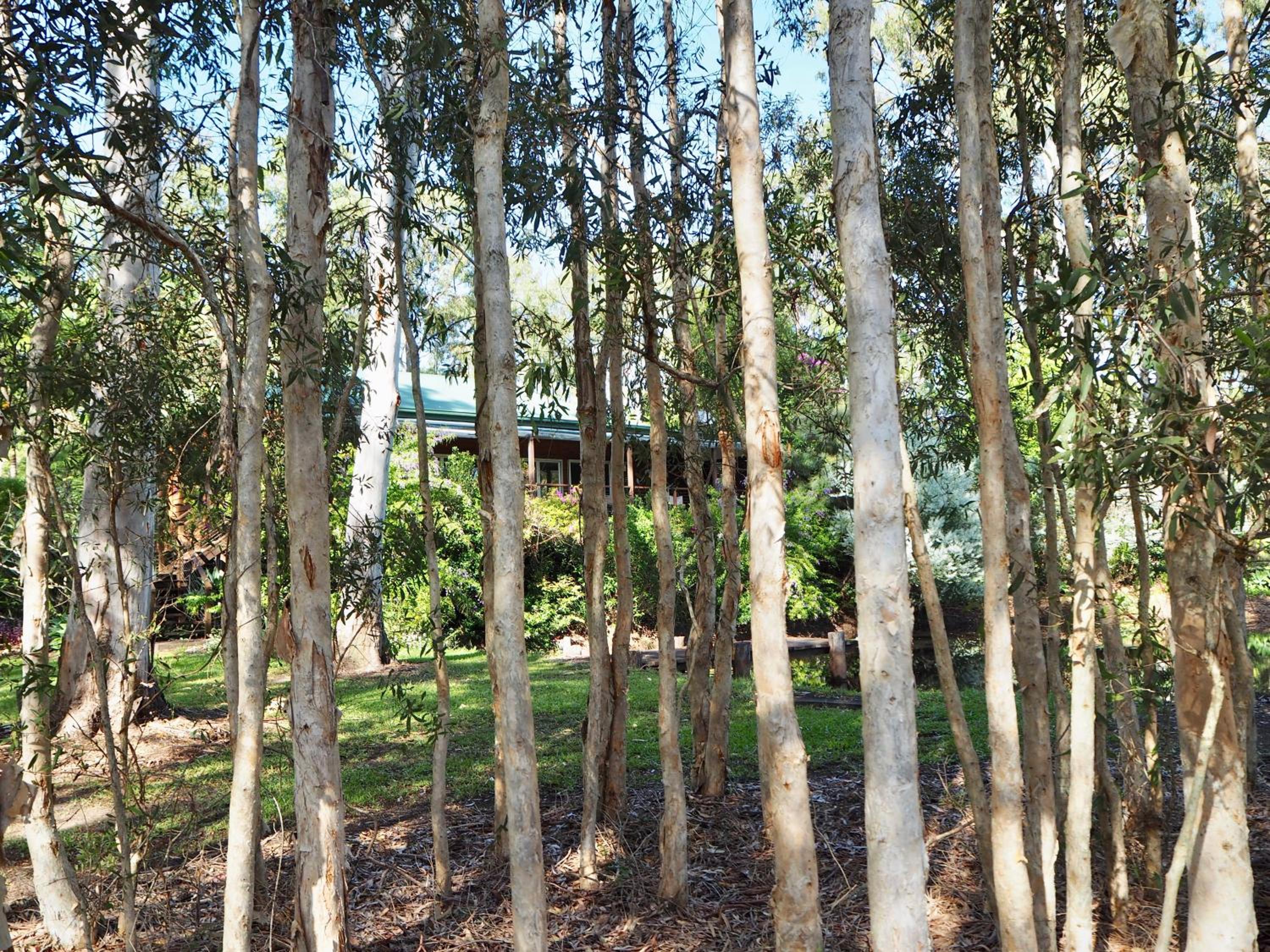 Photo 19