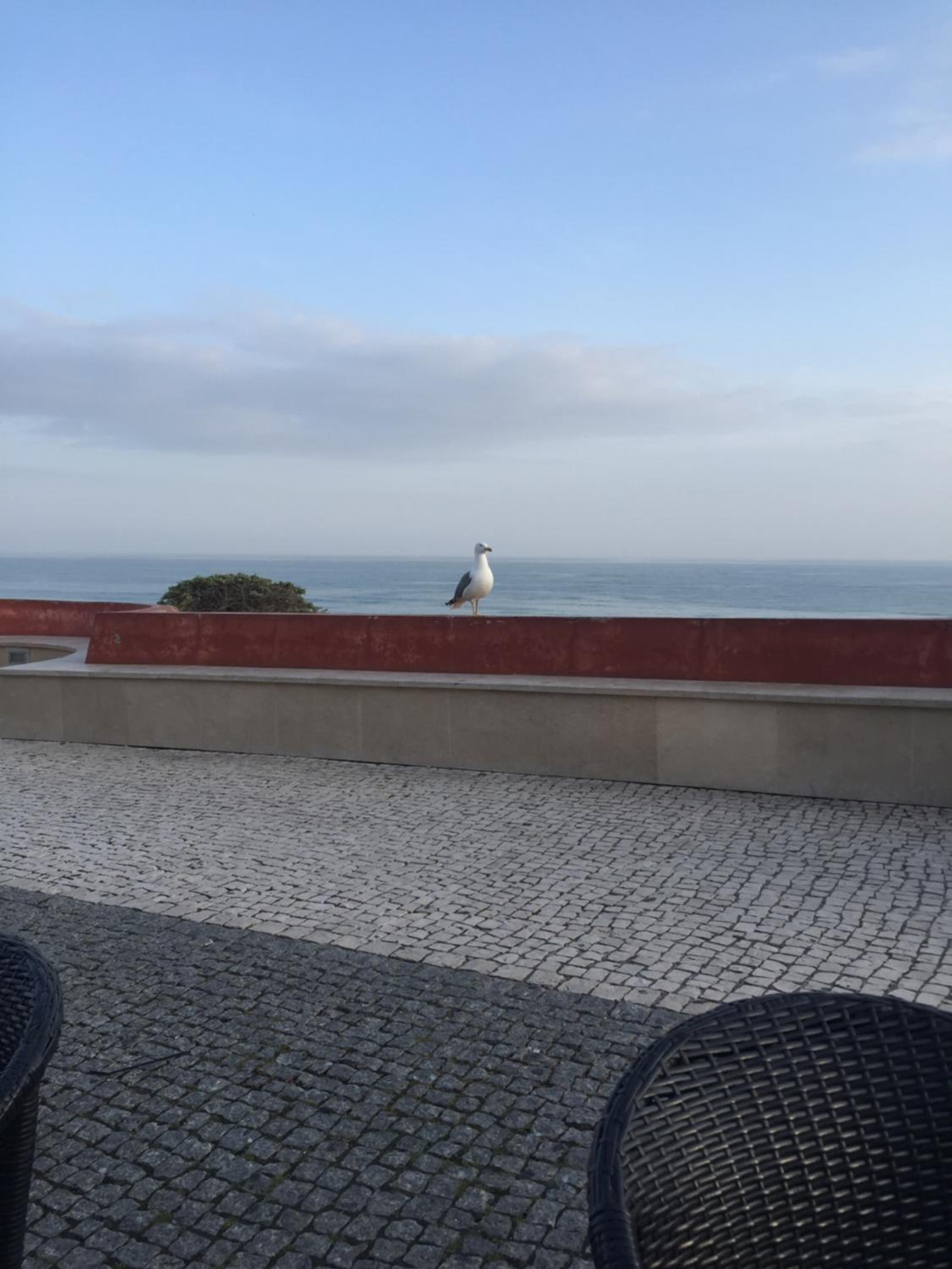 Praia da Rocha Apartment view 4