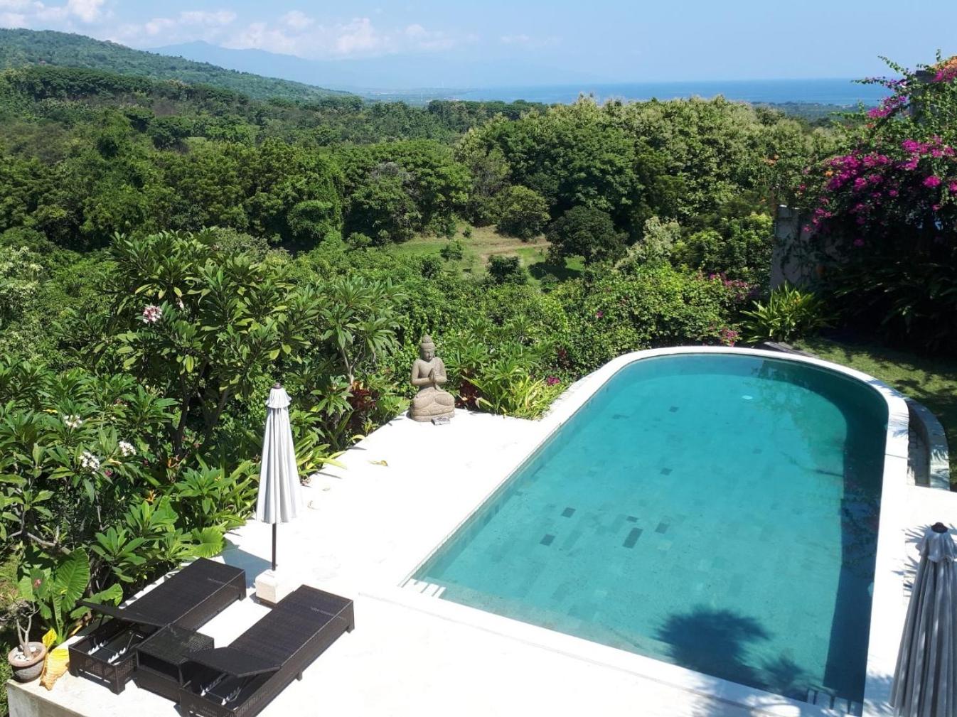 Lovina Paradise view 2