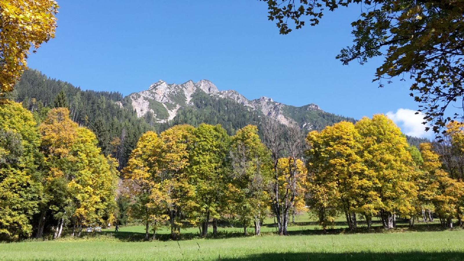 Pension Trillerhof