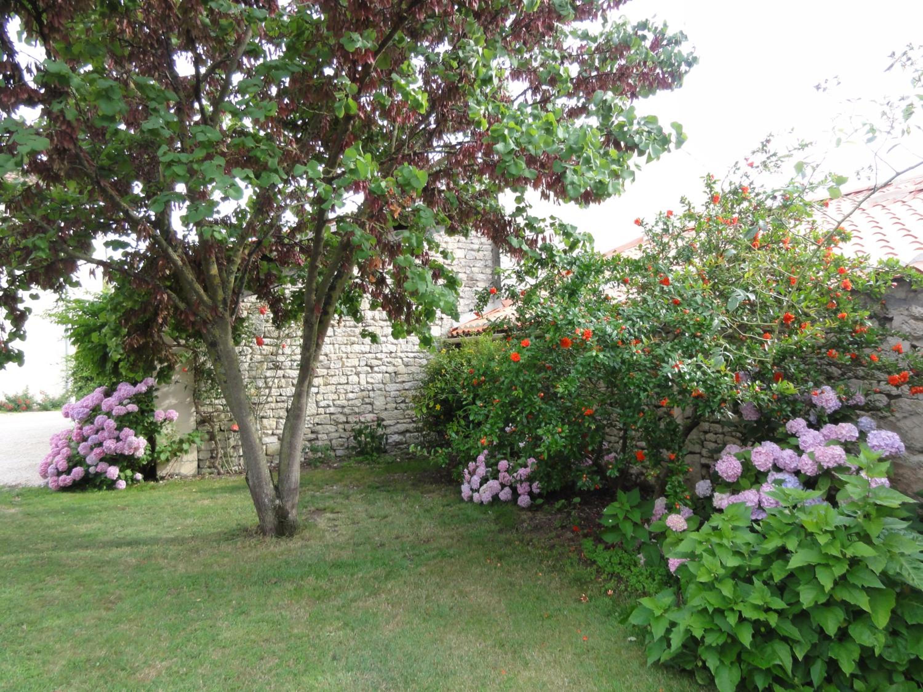 Chambres d'hôtes Les Tilleuls view 5
