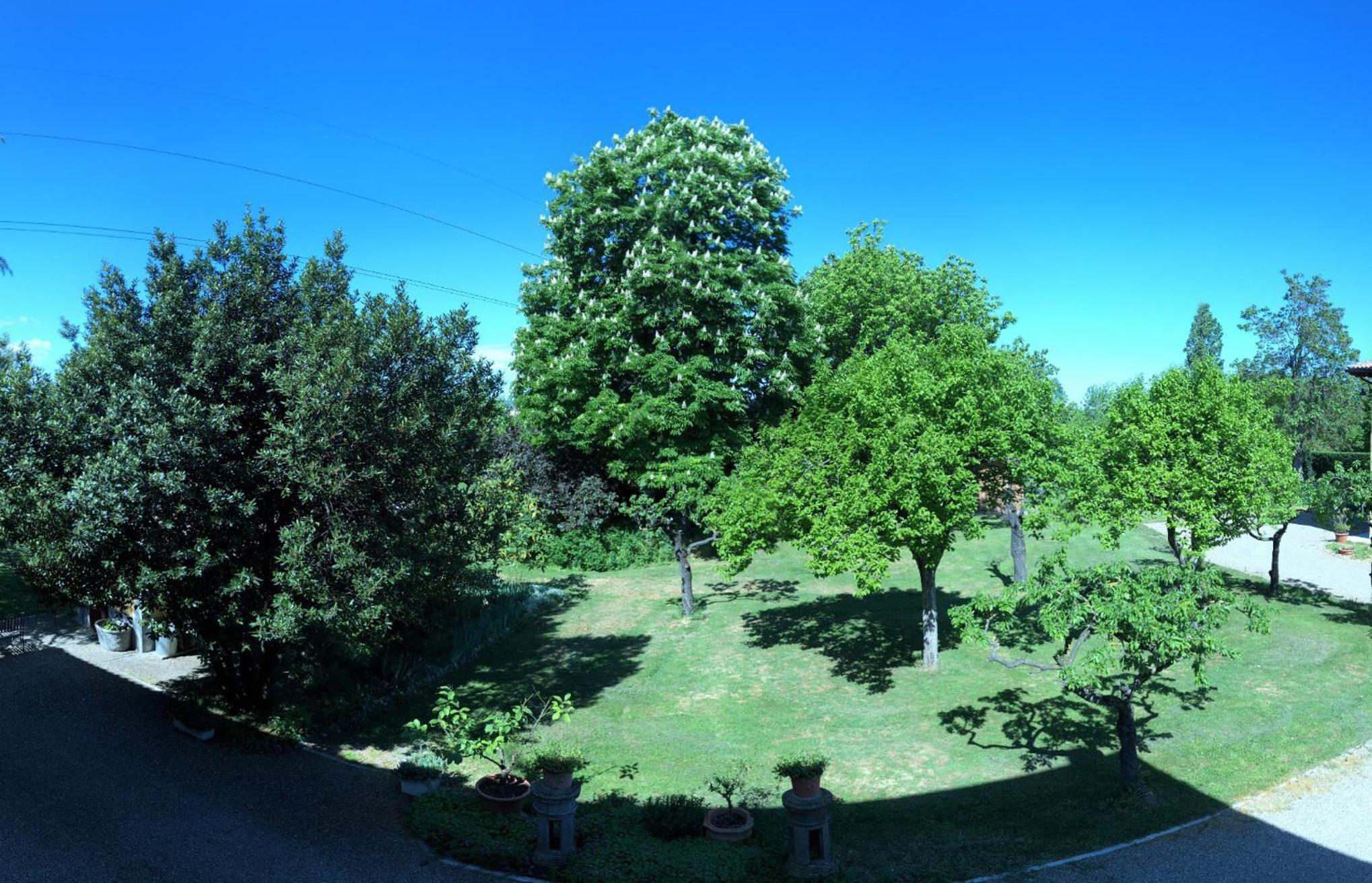 Photo 28