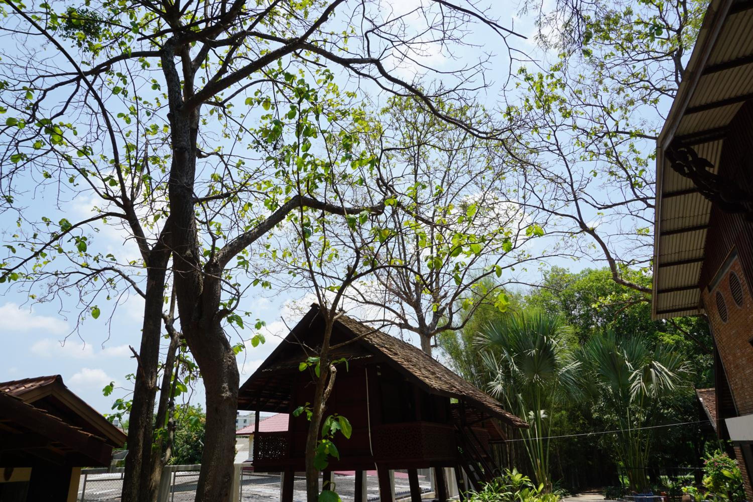 Insight Hostel