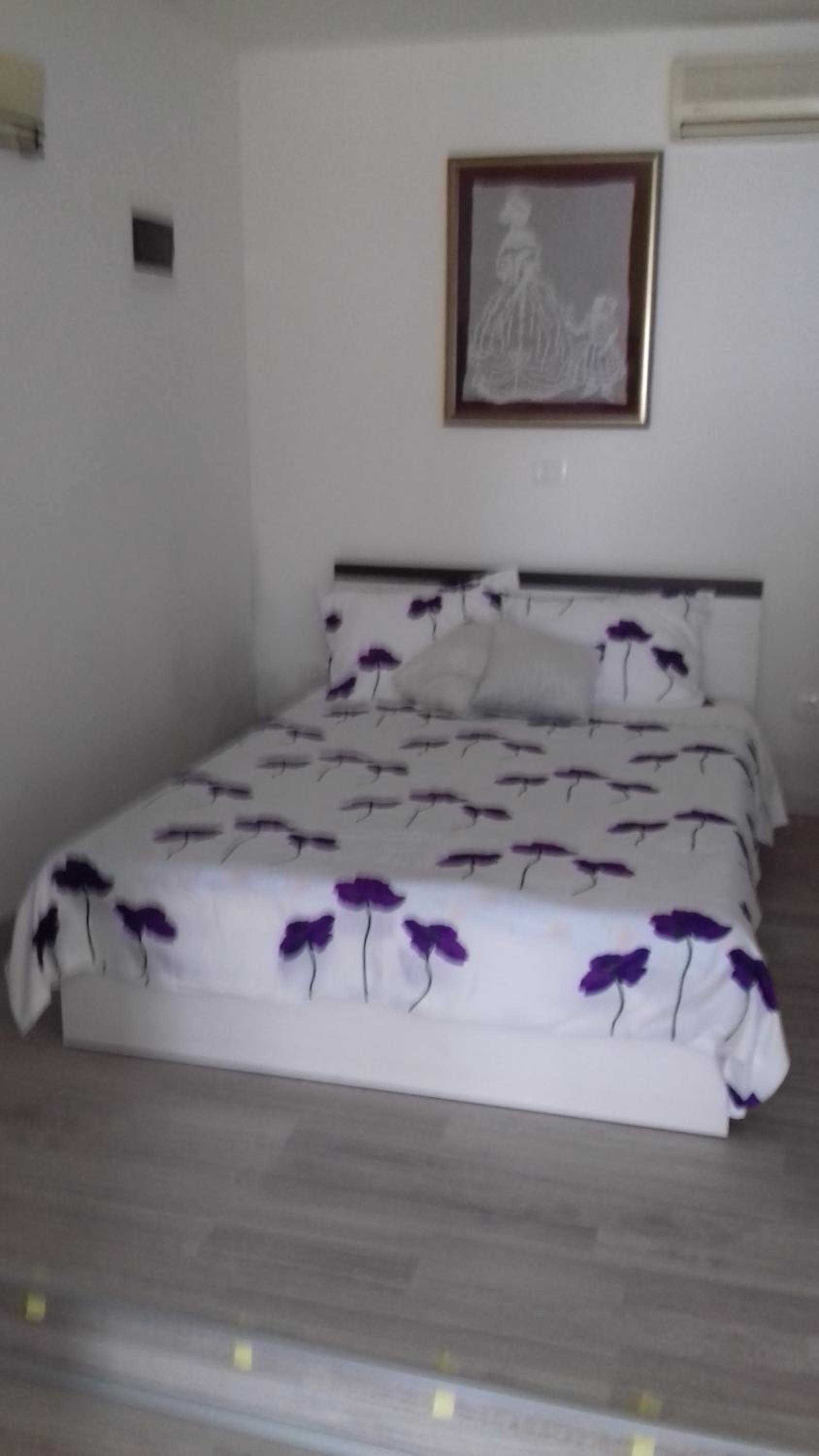Apartmani Vesna view 2