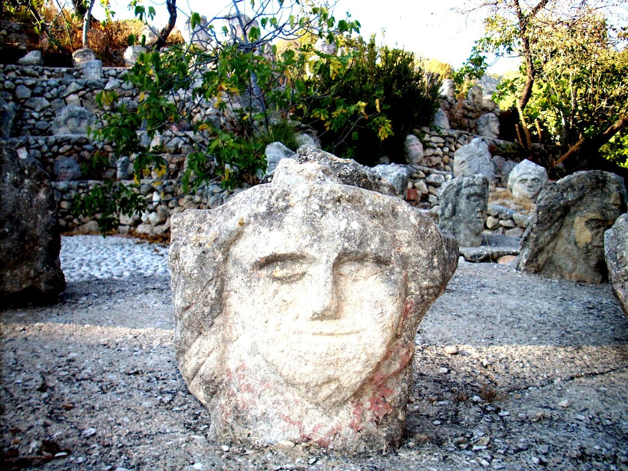 Photo 24