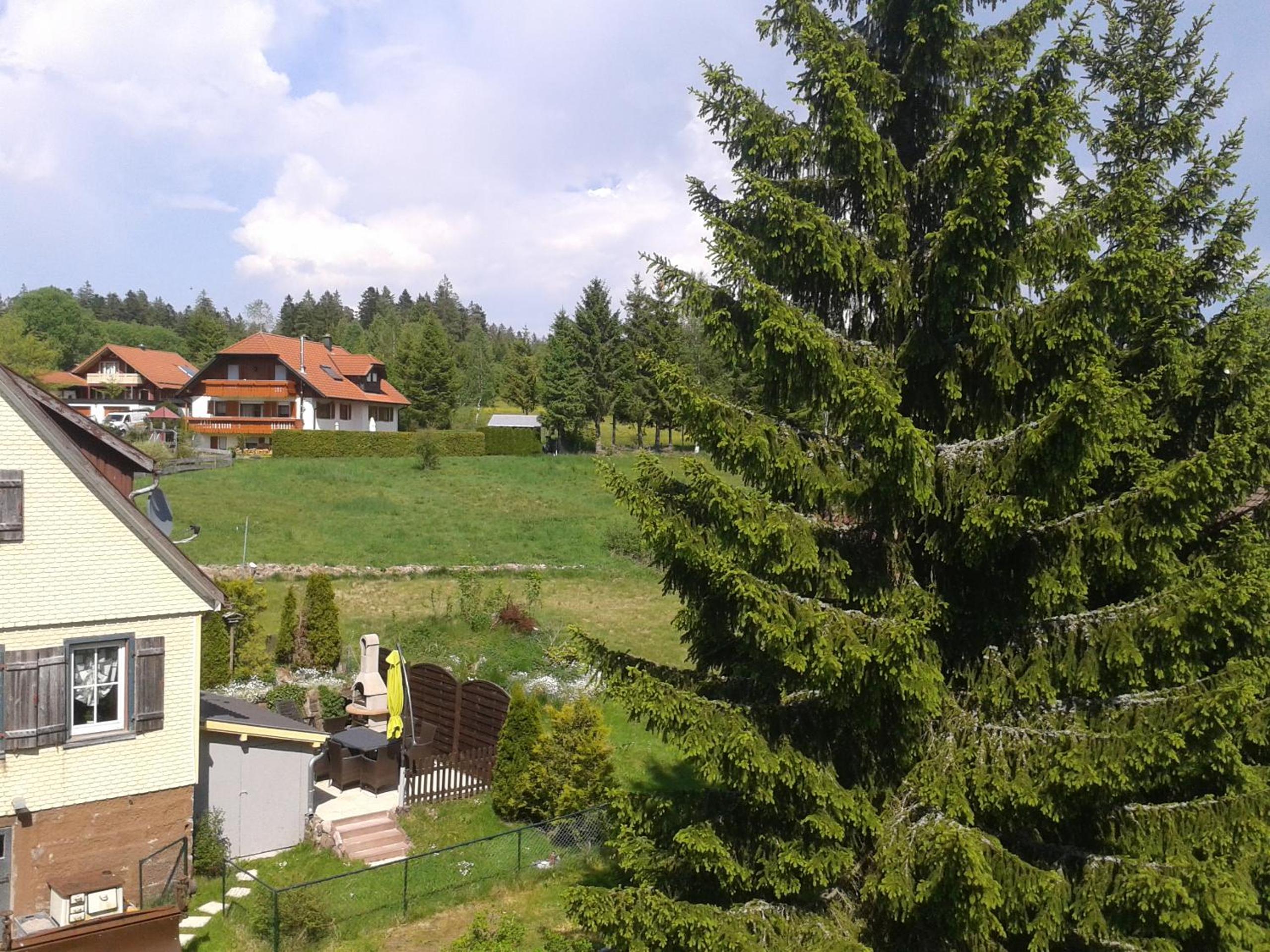 Photo 33