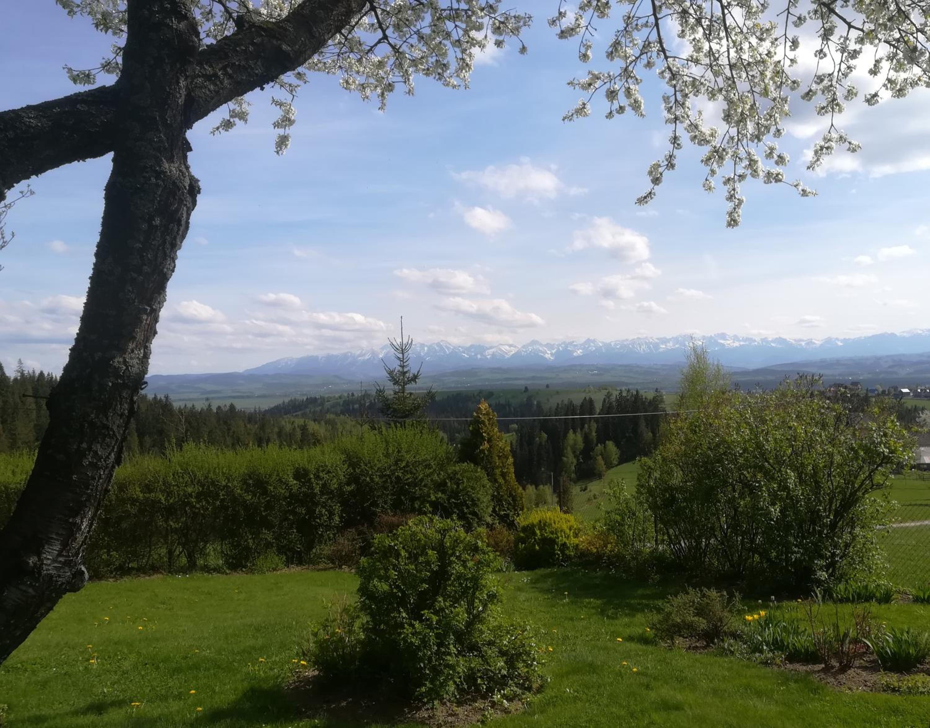 Buflaczanka view 5
