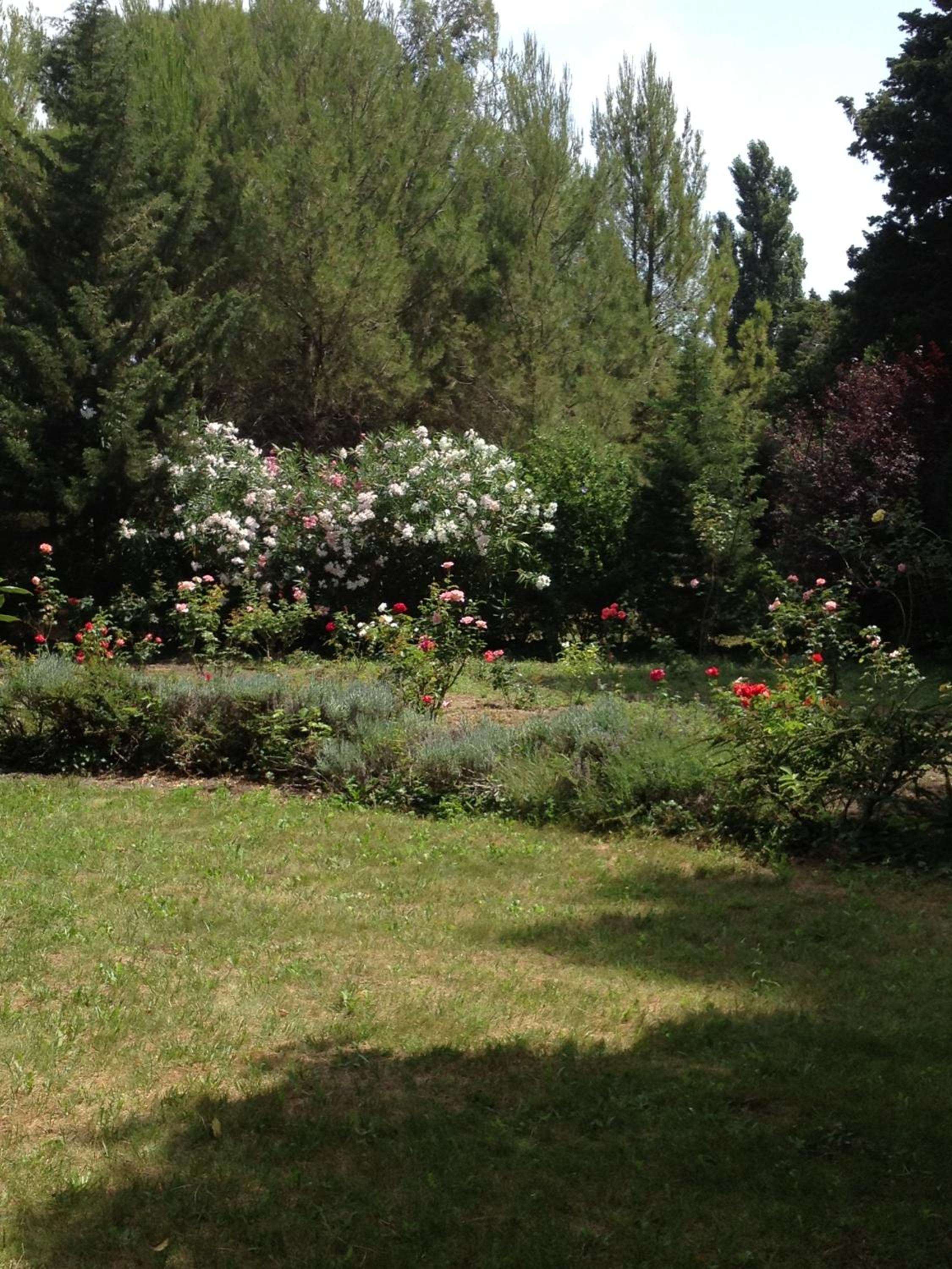Photo 29