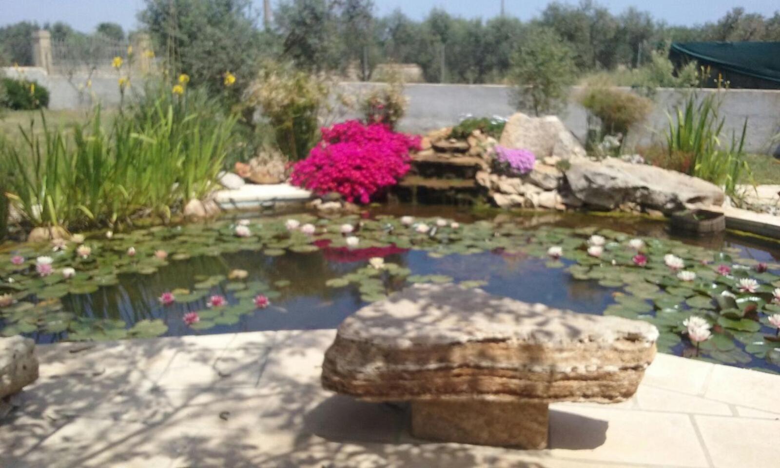 Photo 31