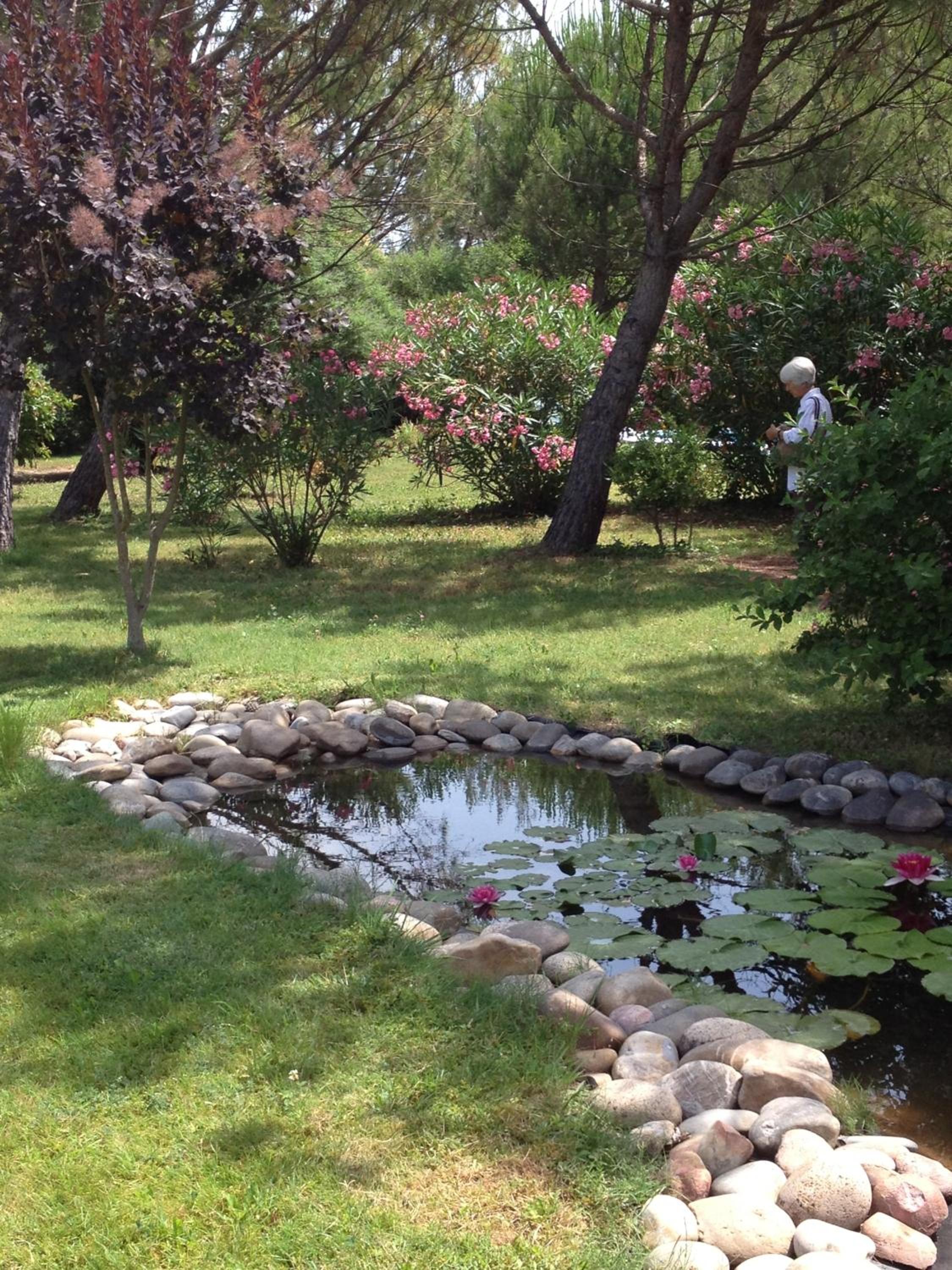 Photo 36