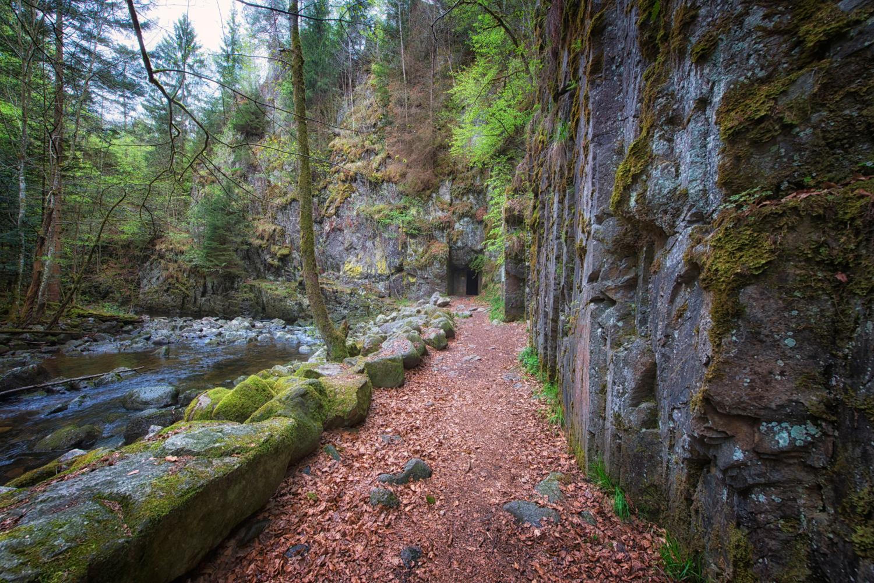 Ferienpark Geyersberg inklusive aktivCARD Bayerischer Wald