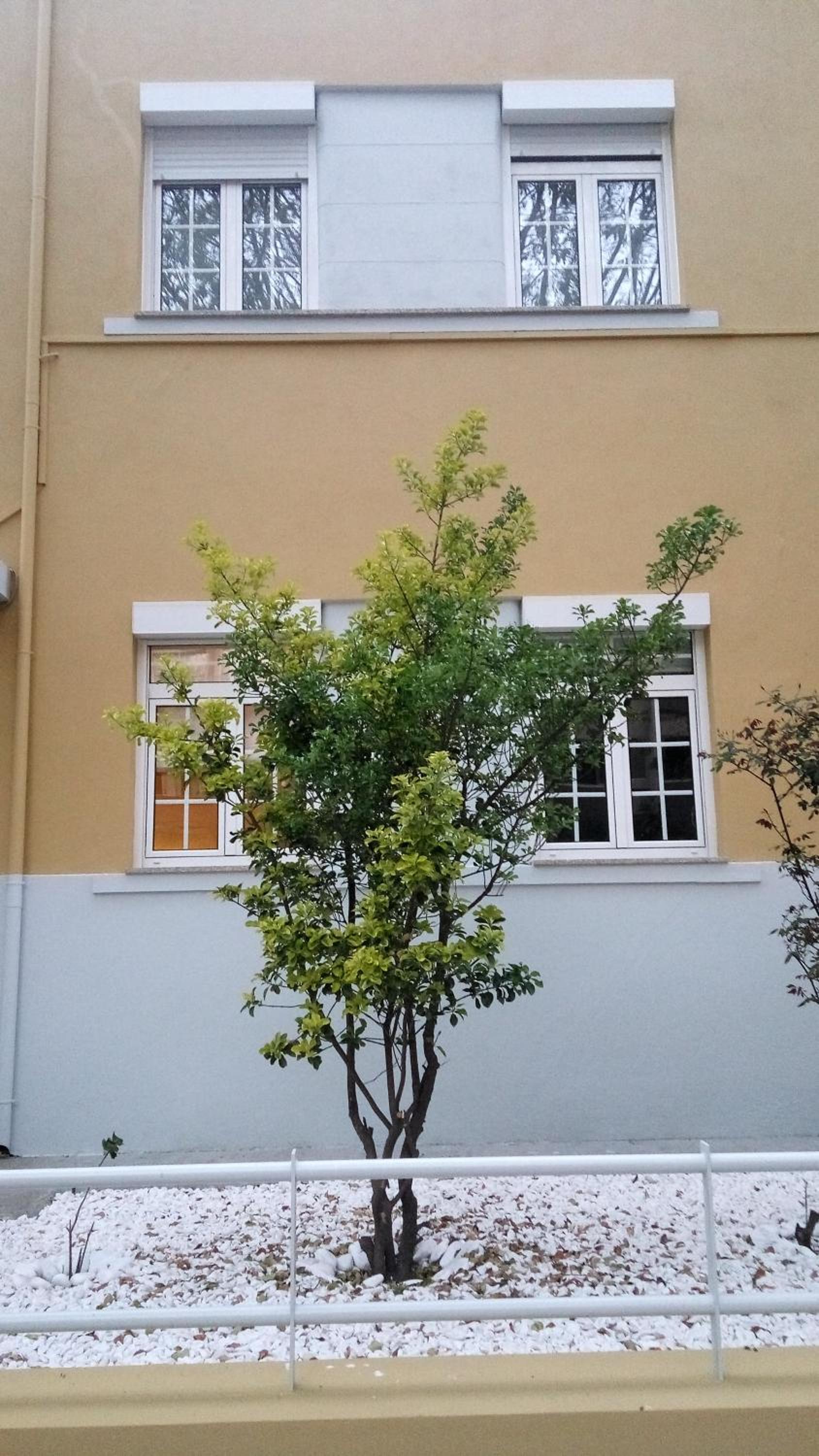 BS Villas Porto view 5