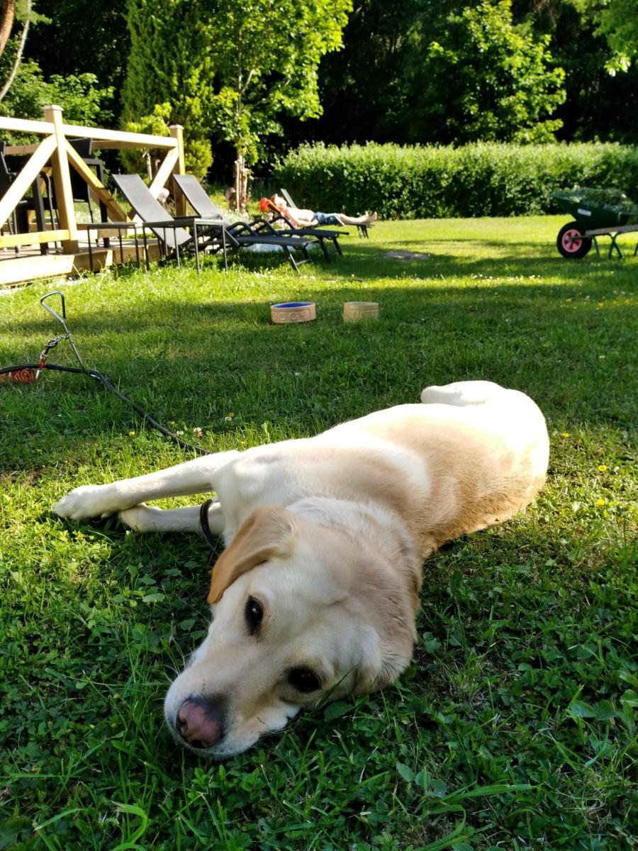 Photo 49