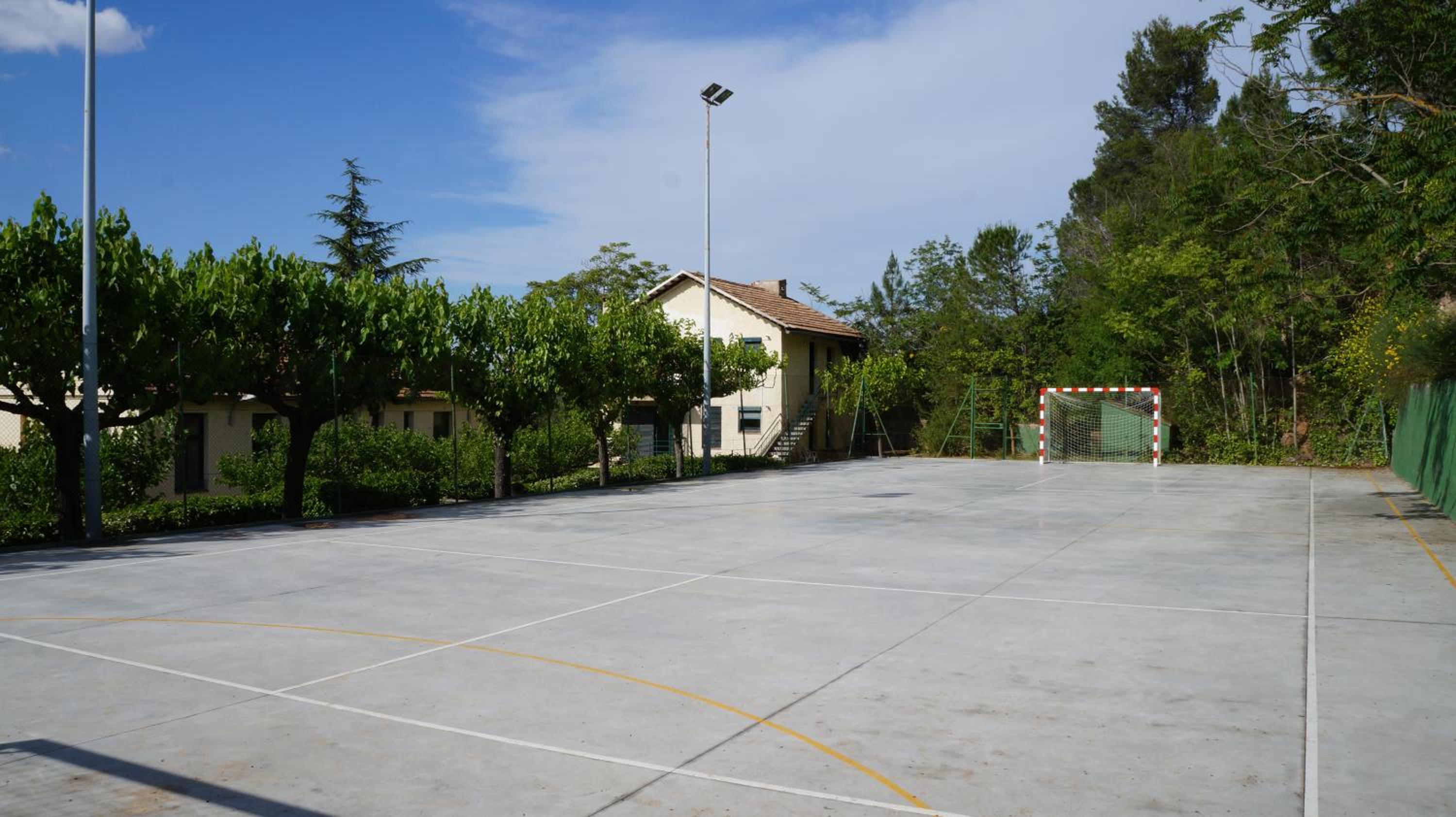 Photo 45