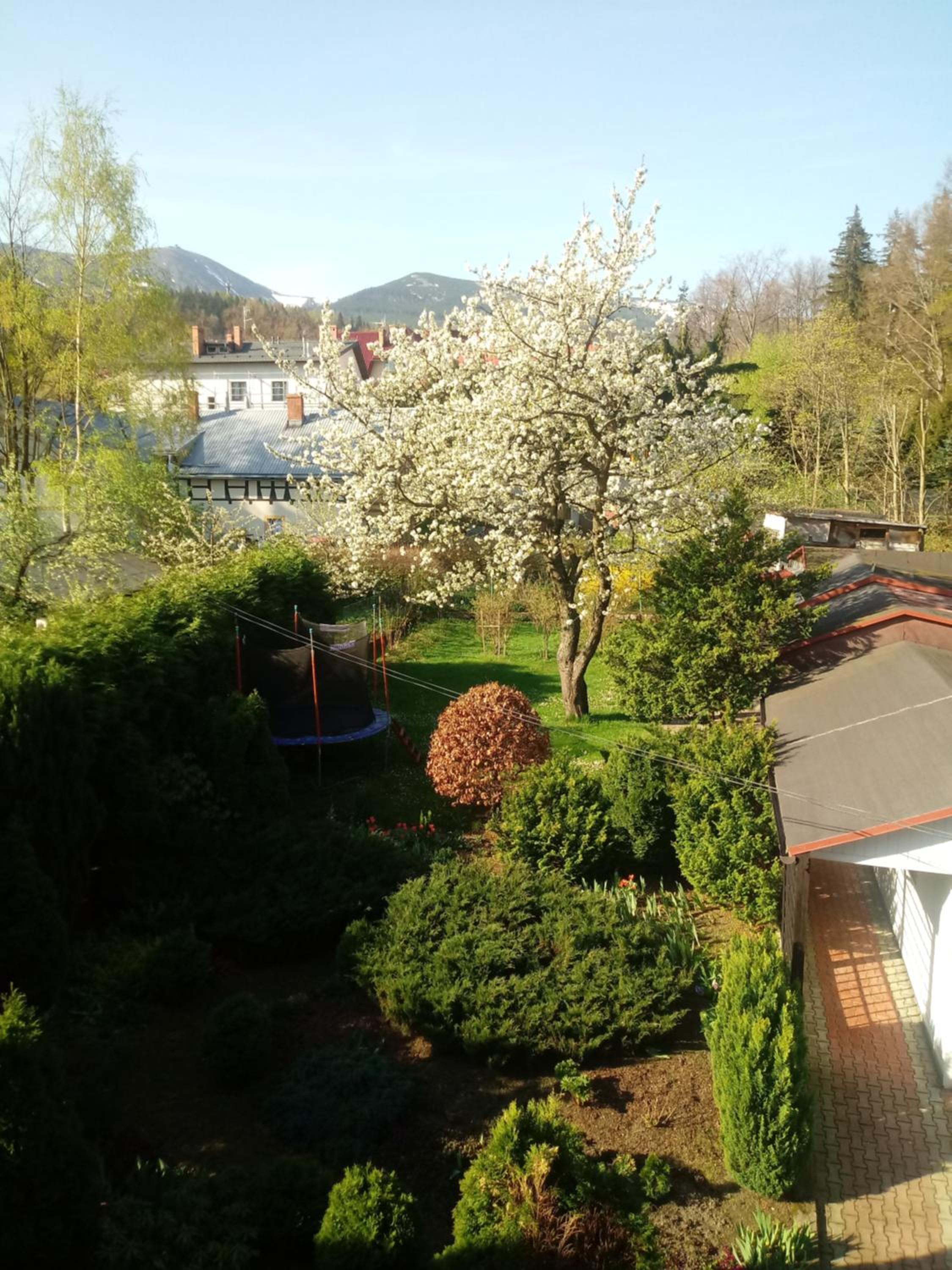 ApartamentVanessa view 4