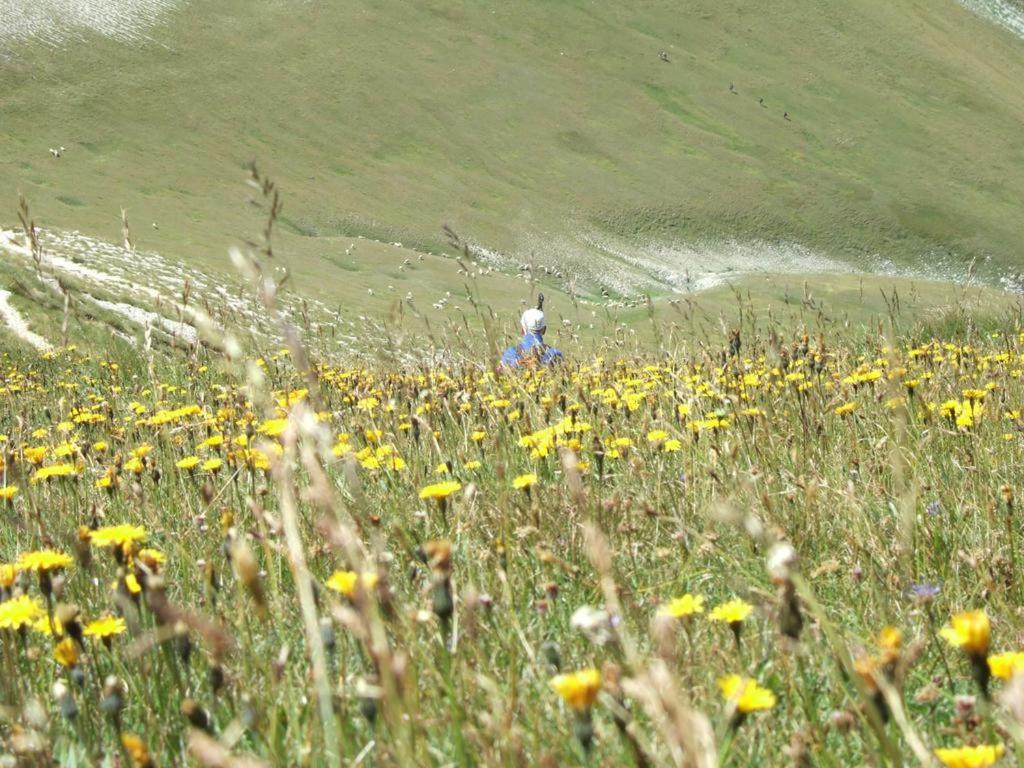 Photo 44