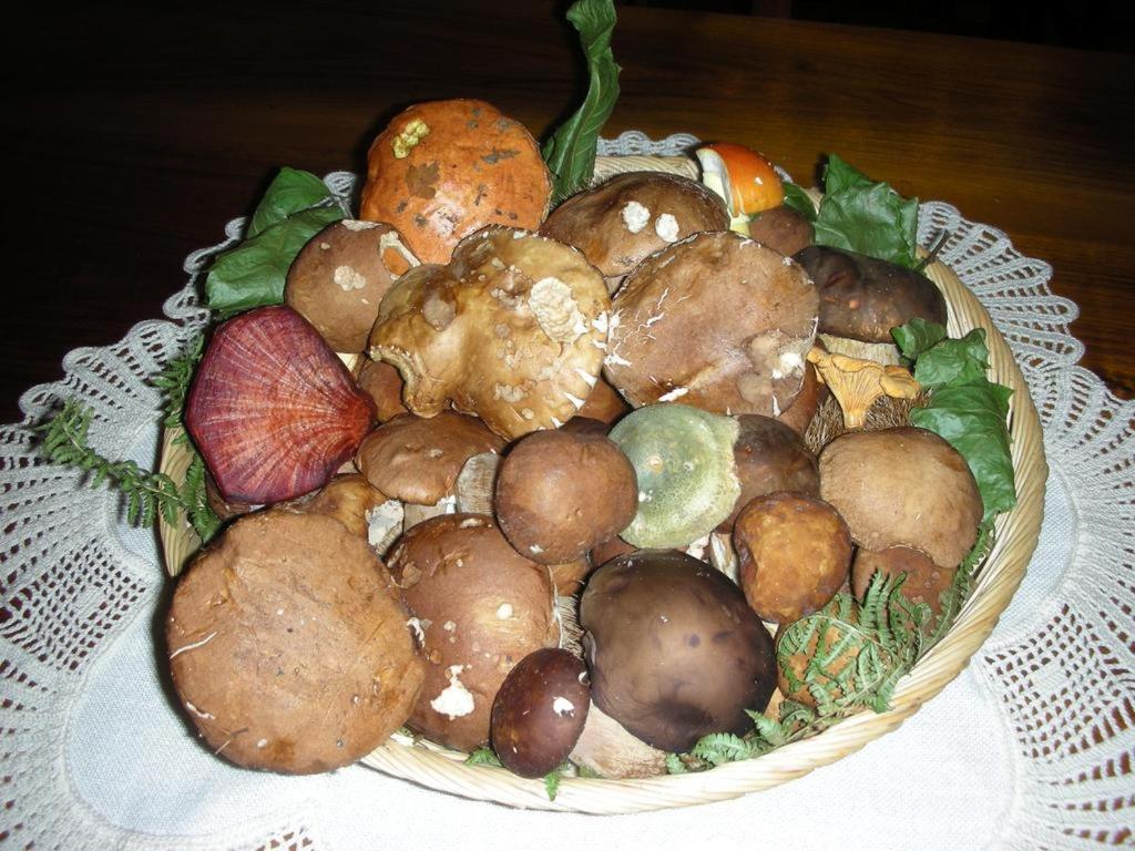 Photo 49