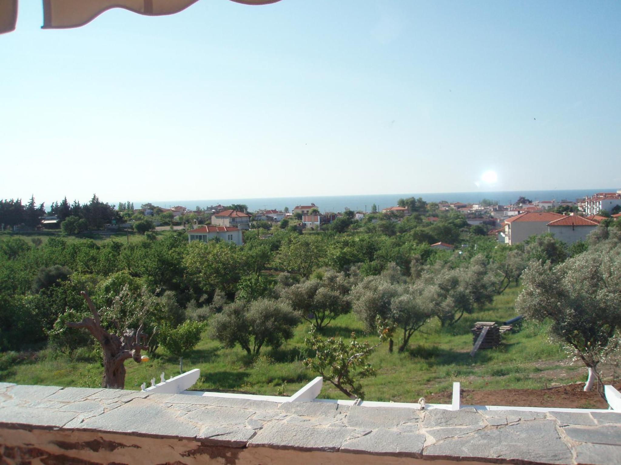 Photo 32