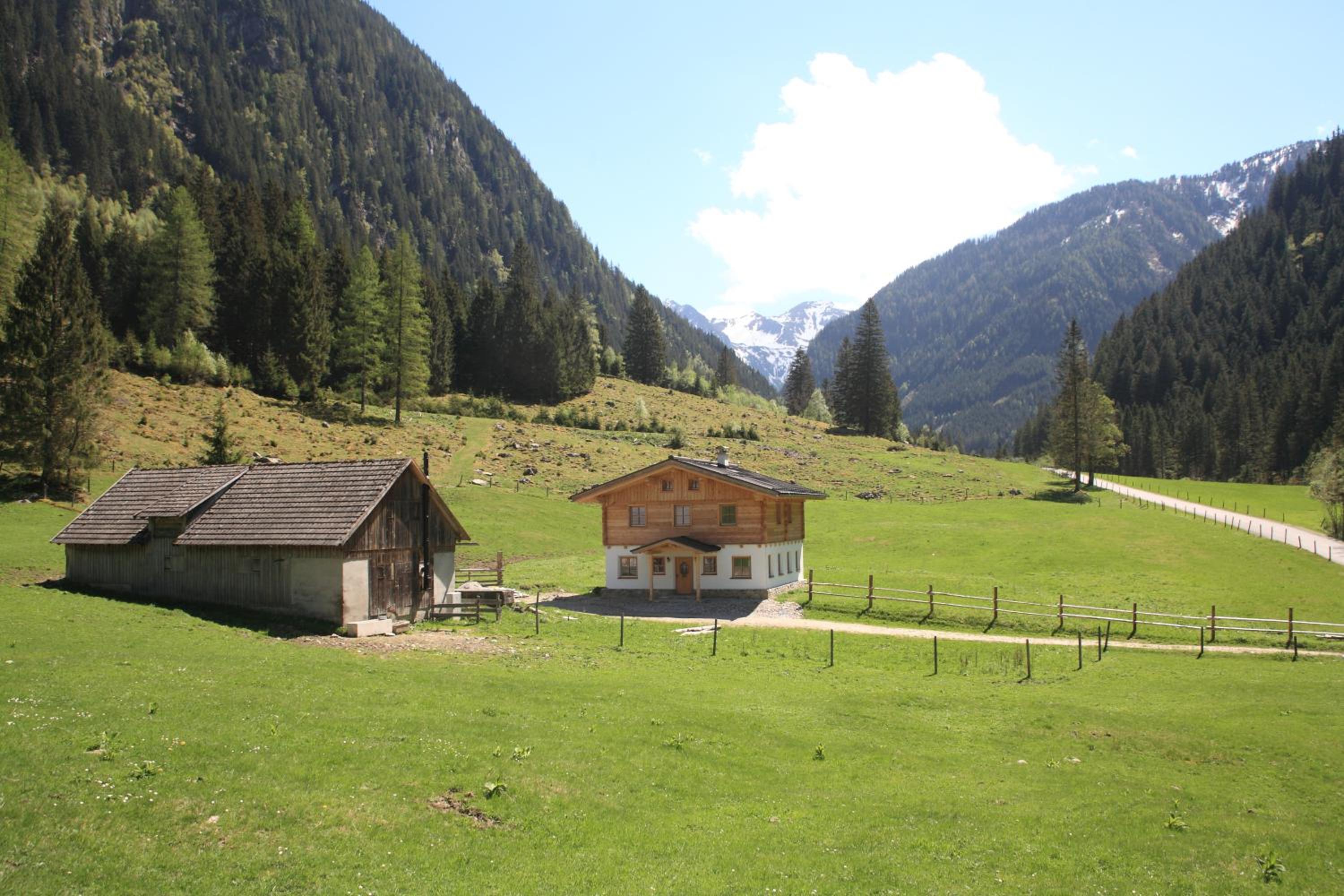 Photo 7