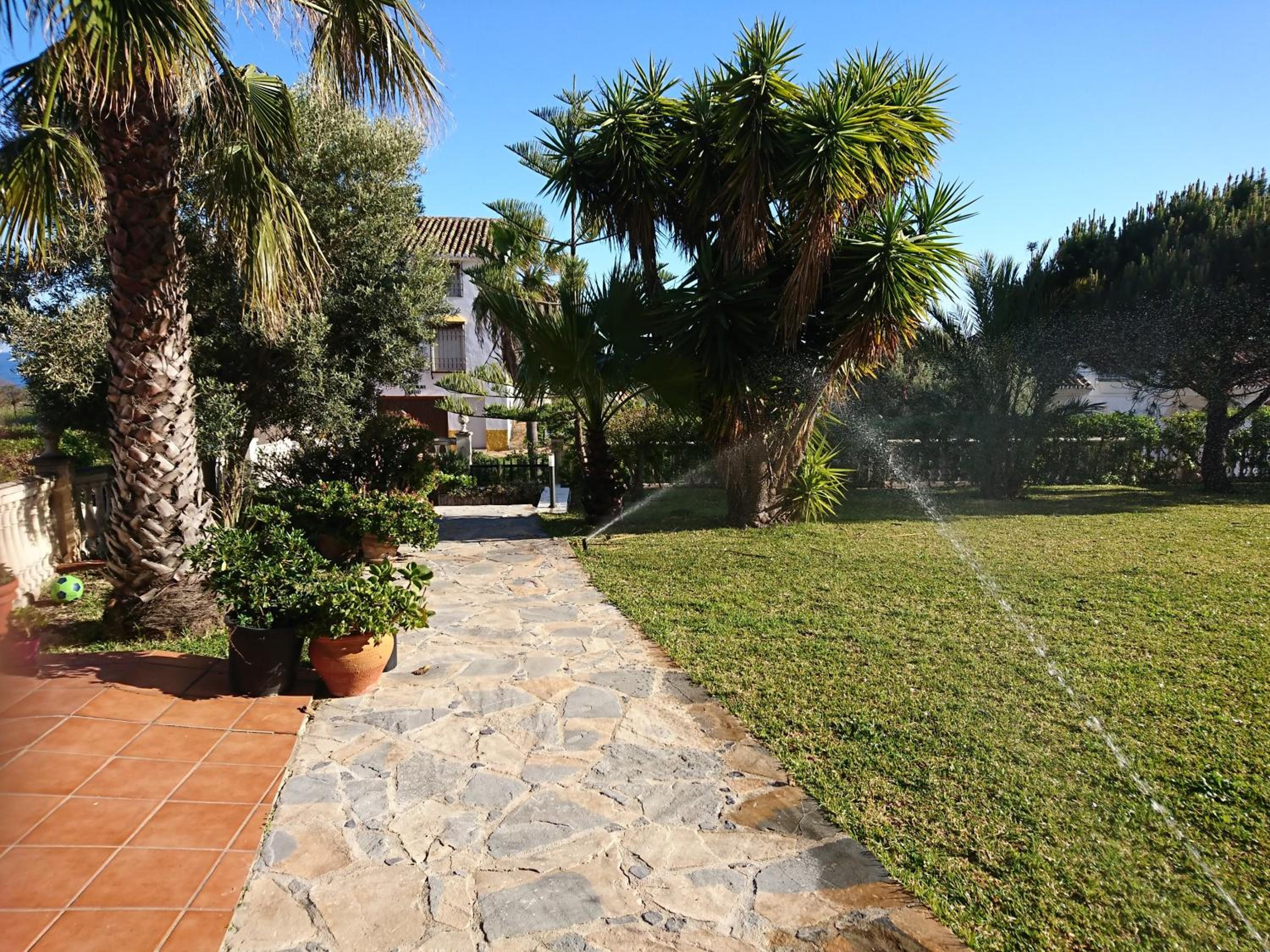 Photo 31