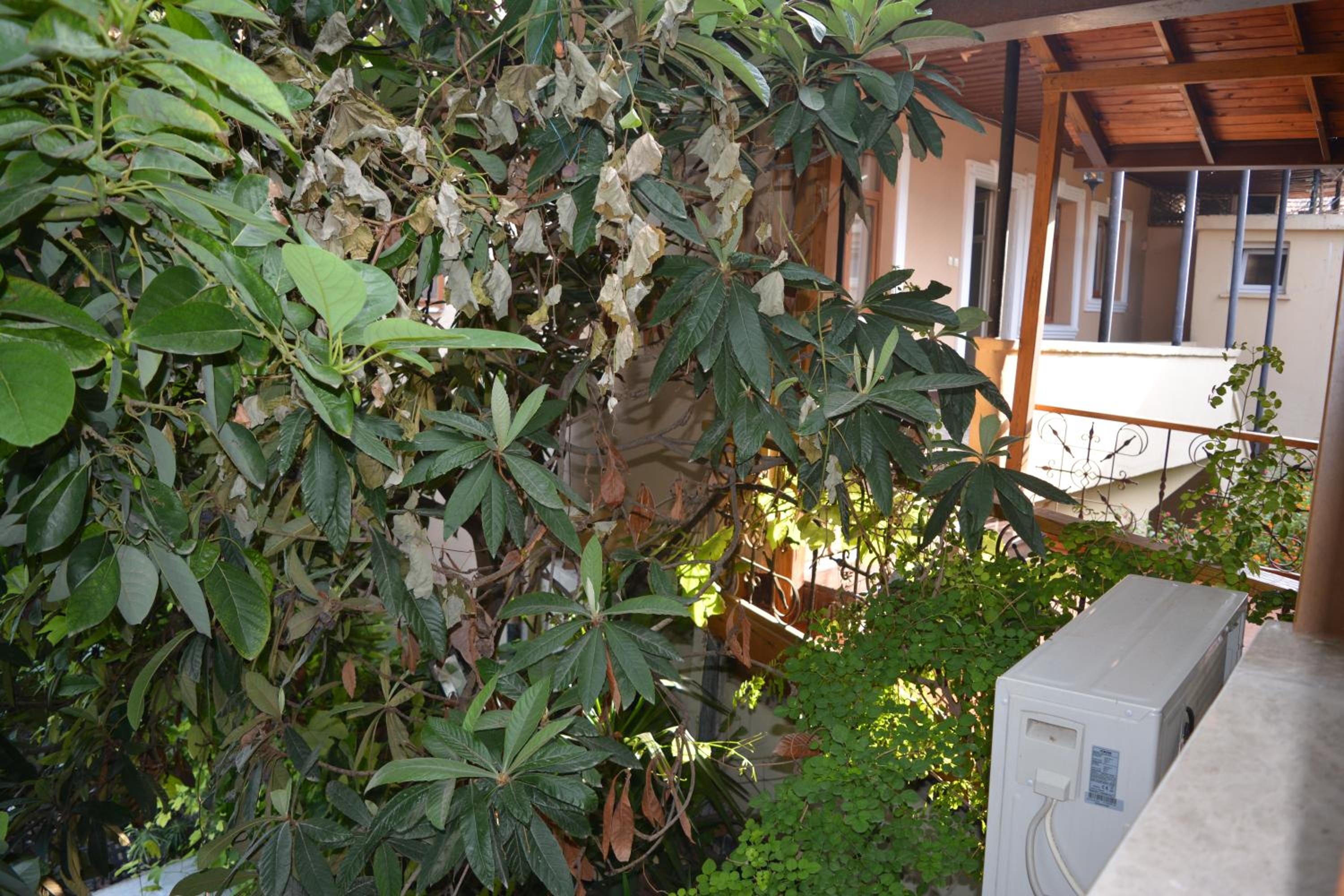 Osmanlı Marco Pasha Otel - Image 54