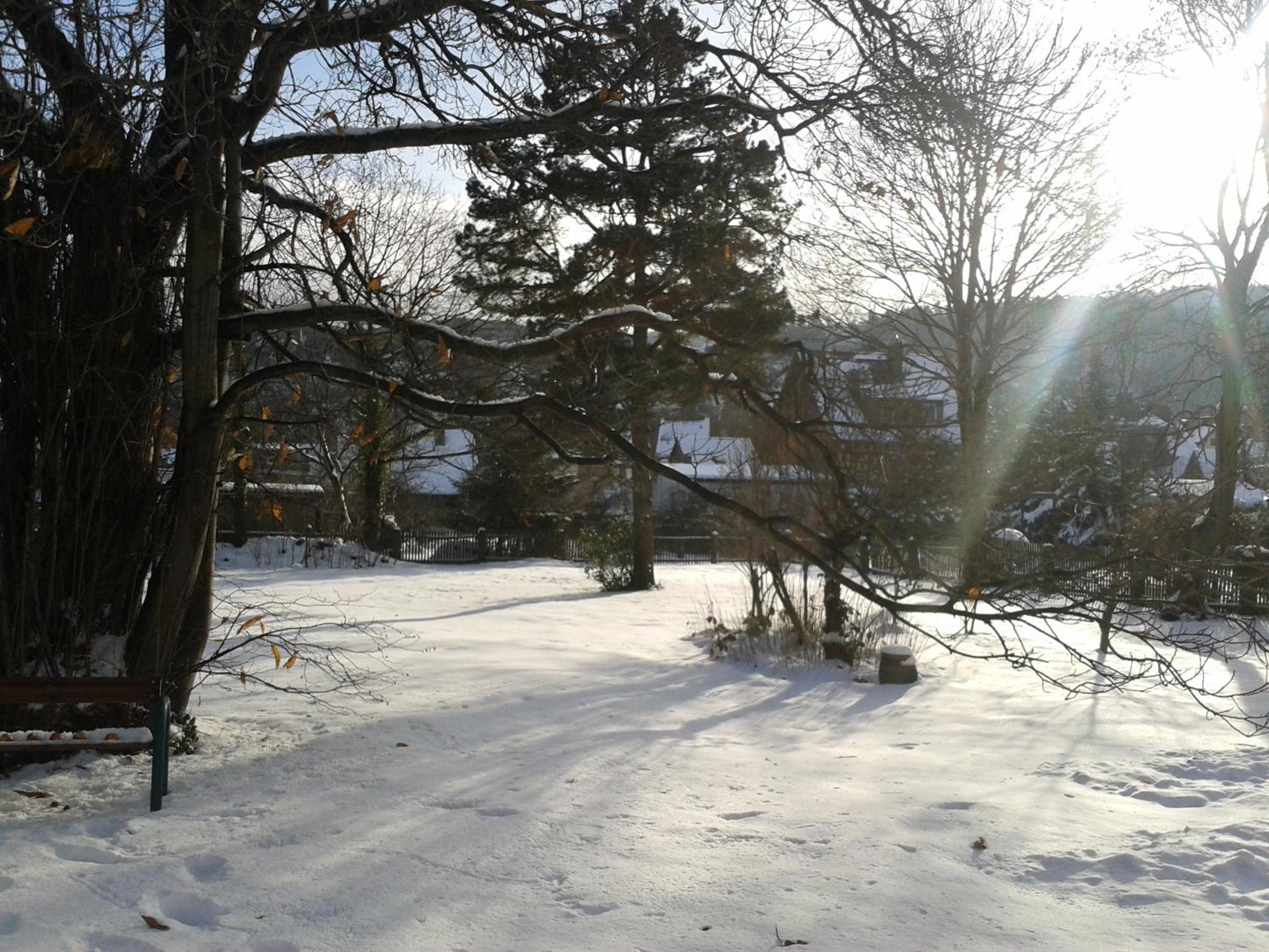 Photo 27