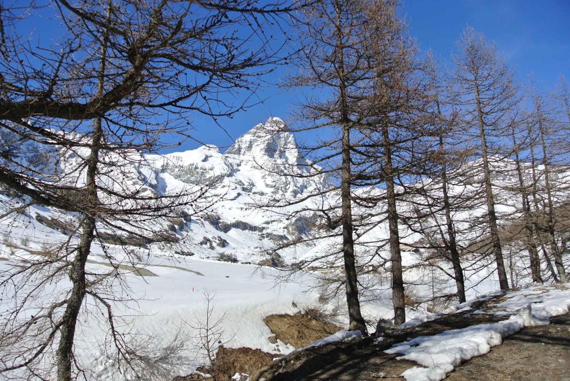 President Palace - Breuil Cervinia -appartamento 6 - CIR 0634