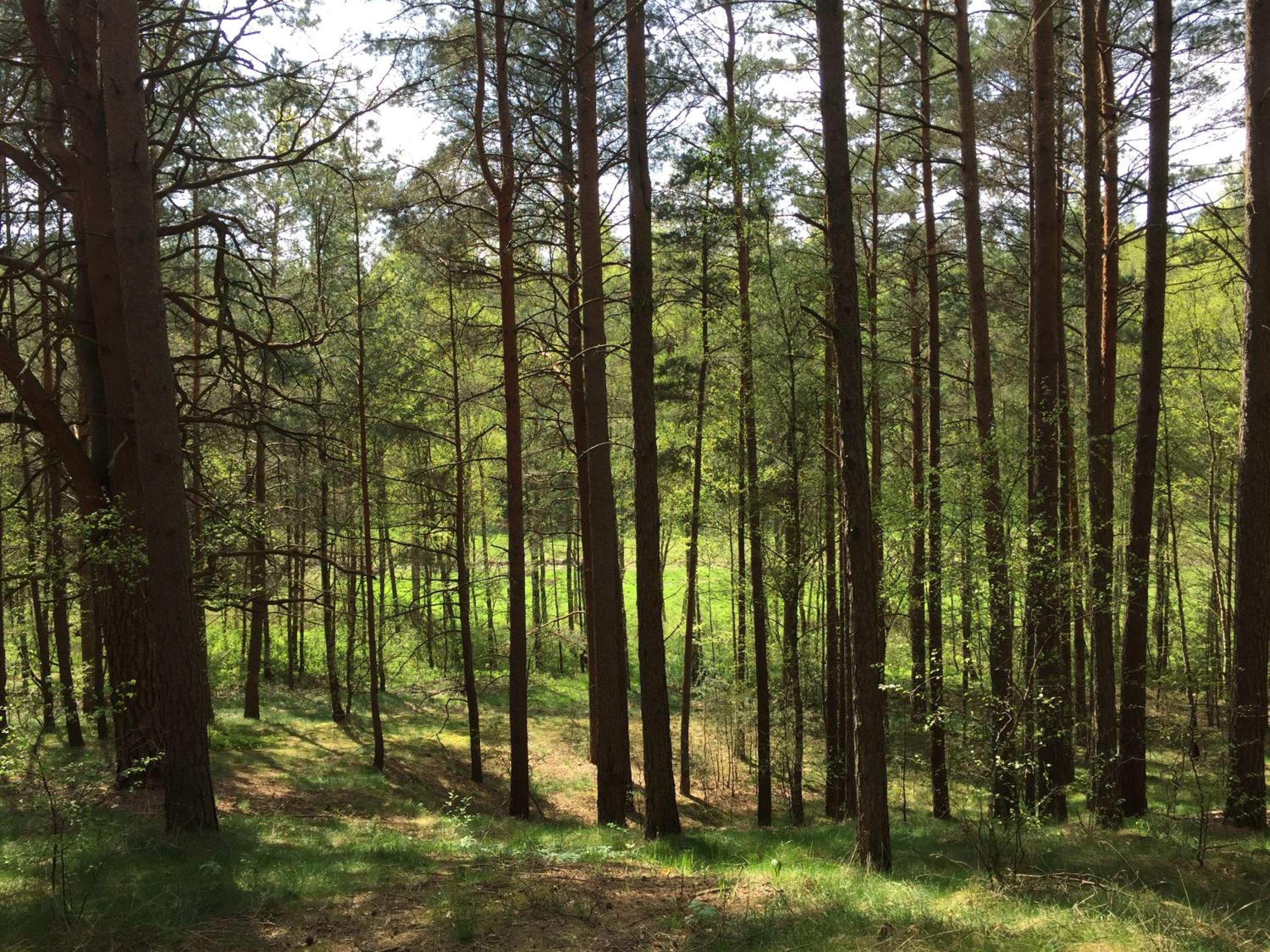 Photo 23