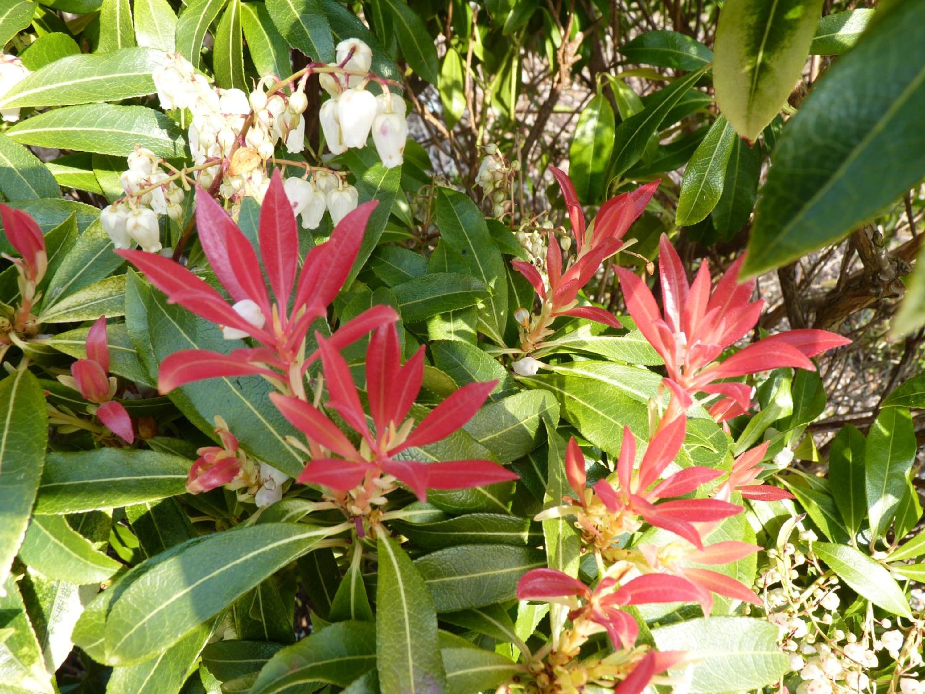 Torine House BB - Property Image 22