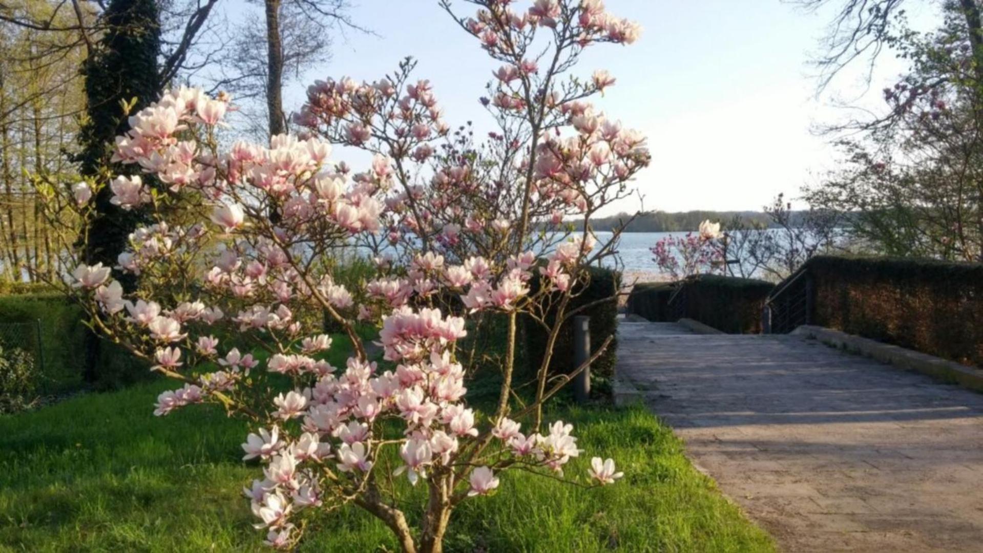 Seeblick III