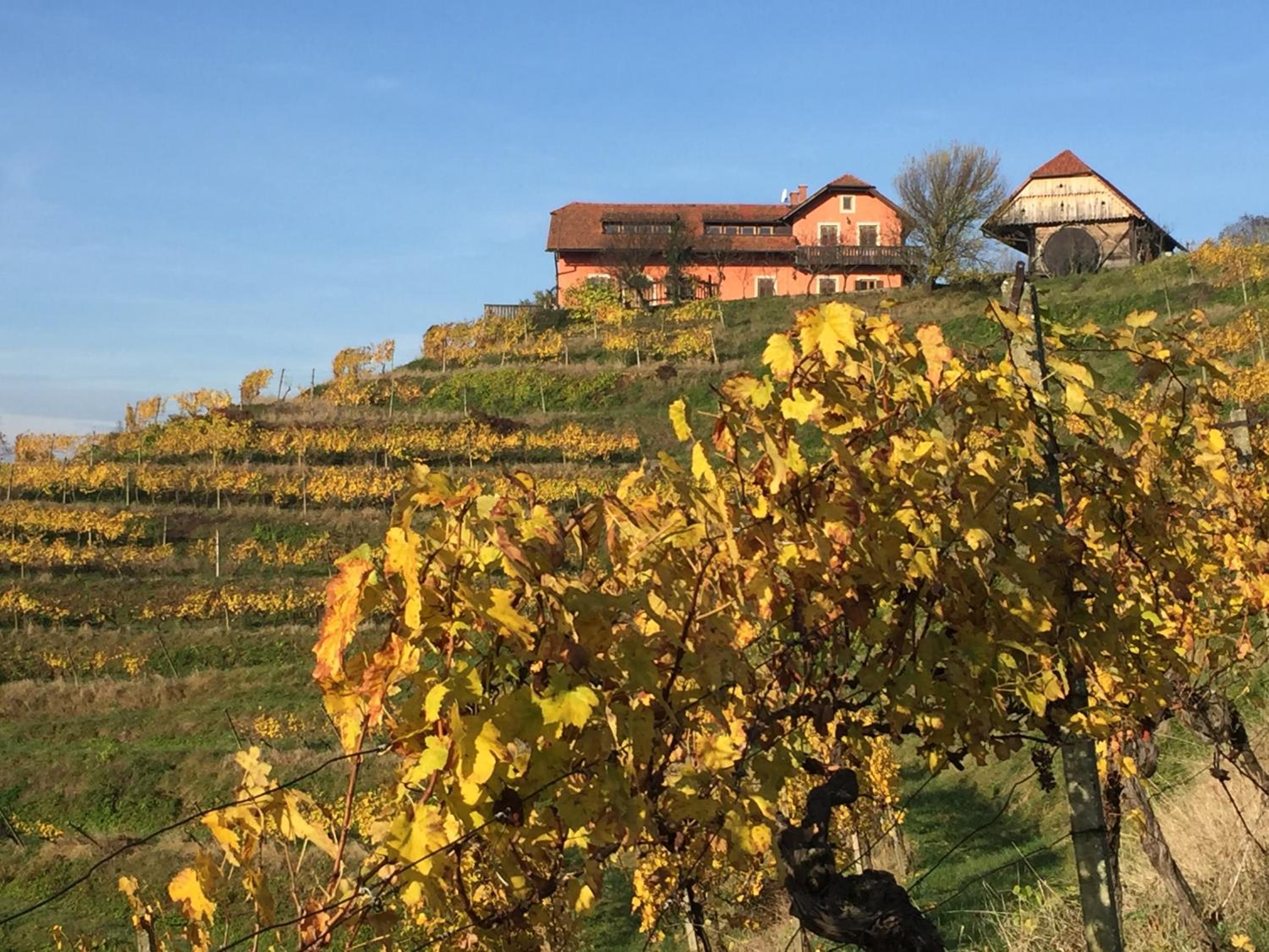 Hisa Vina view 5