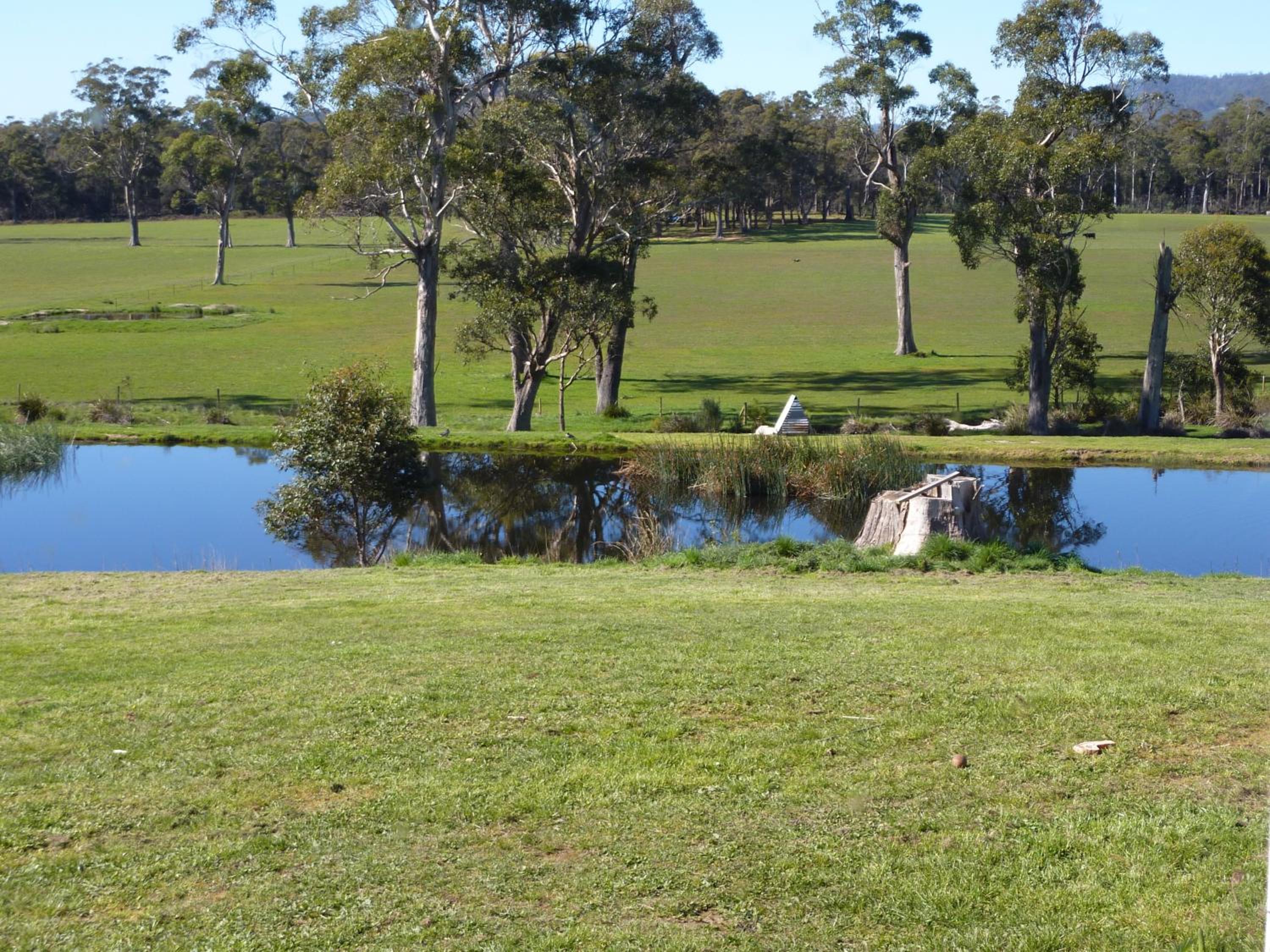 Hazelcreek Cottages