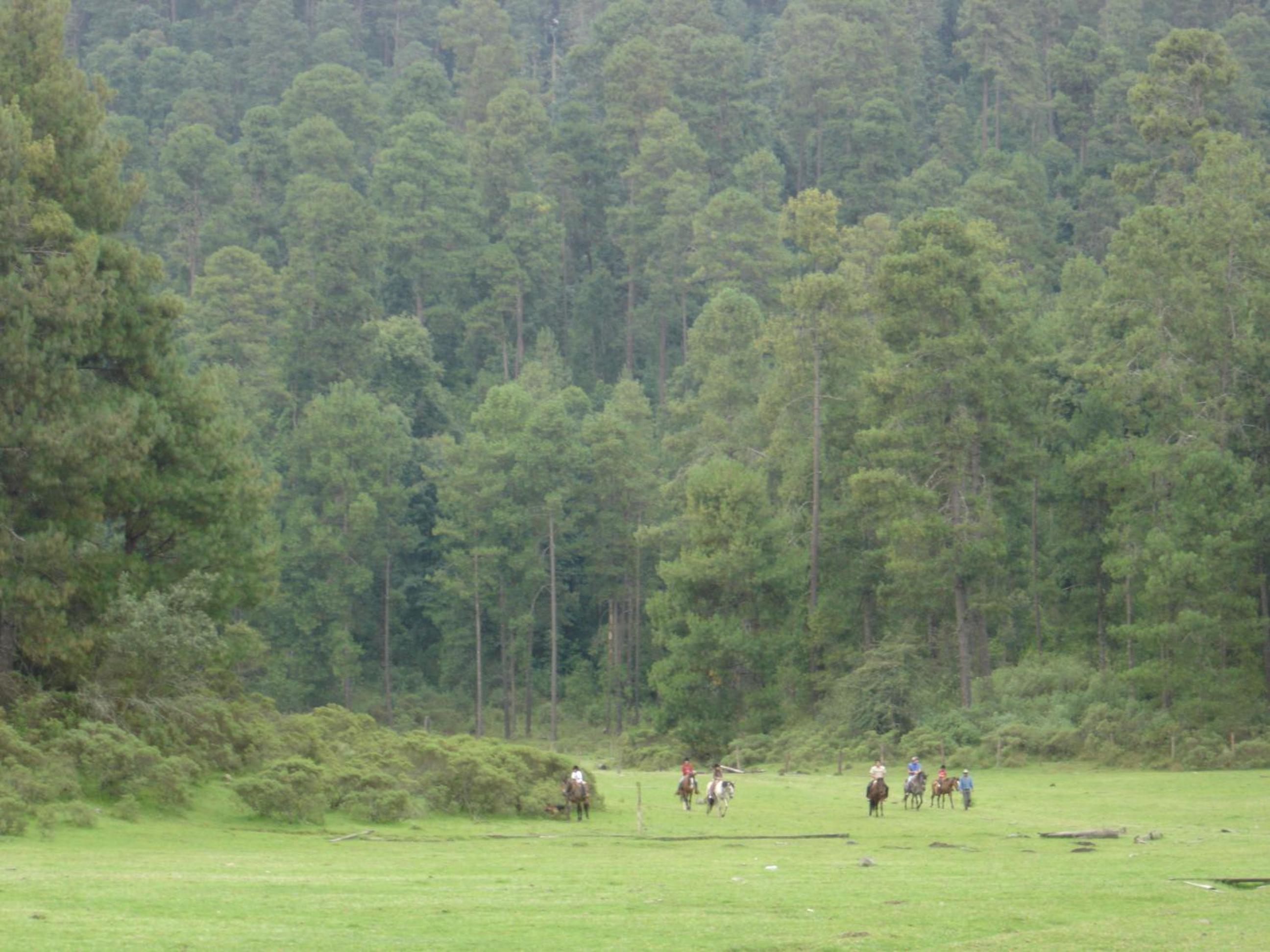 Hotel Rancho Viejo
