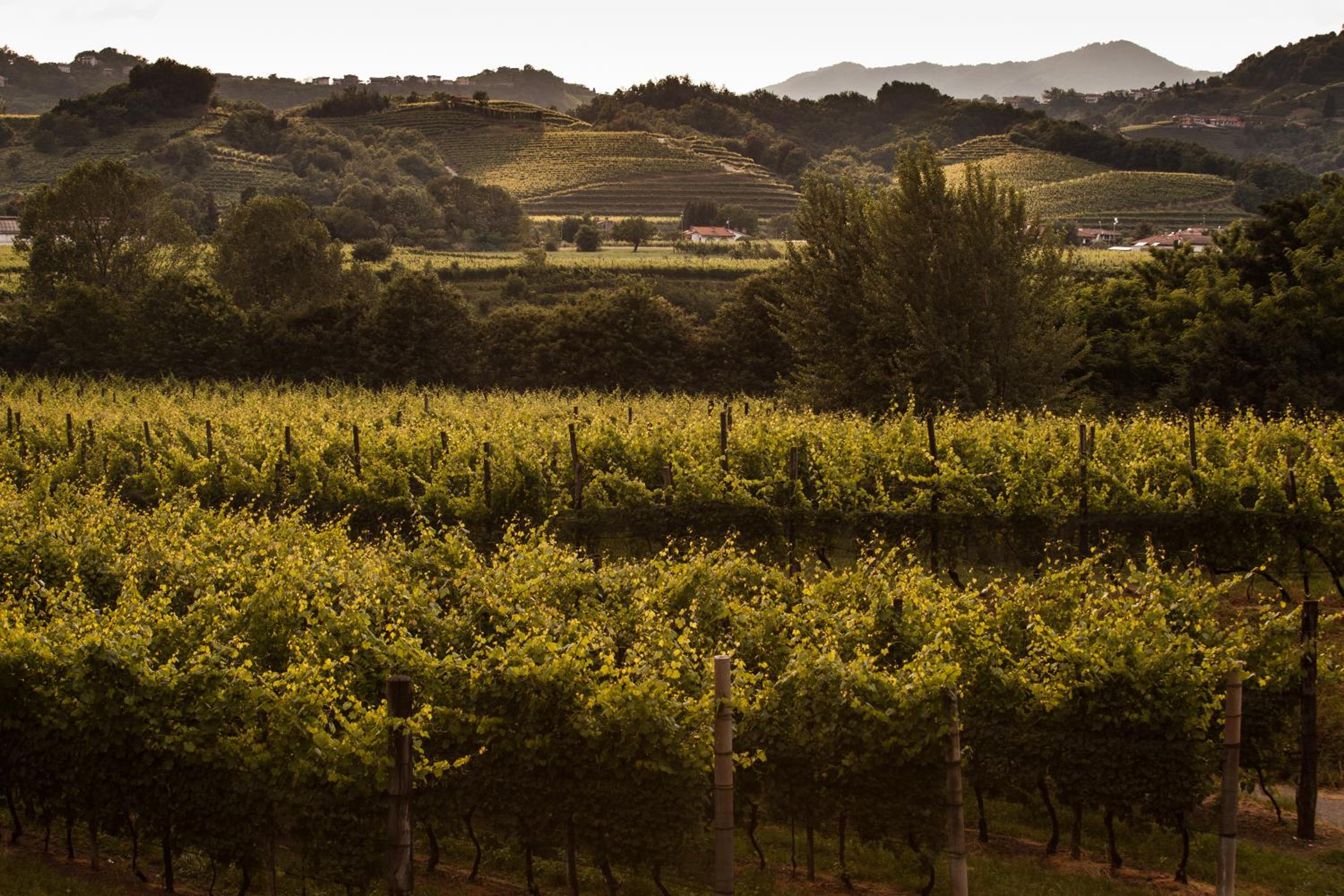 Agriturismo I Comelli