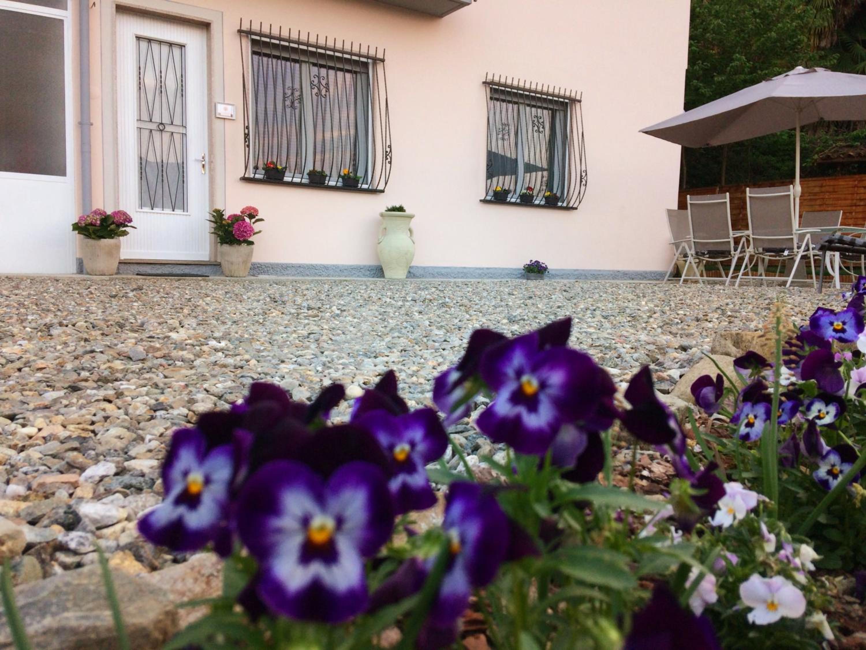 IL CILIEGIO Affittacamere photo 1
