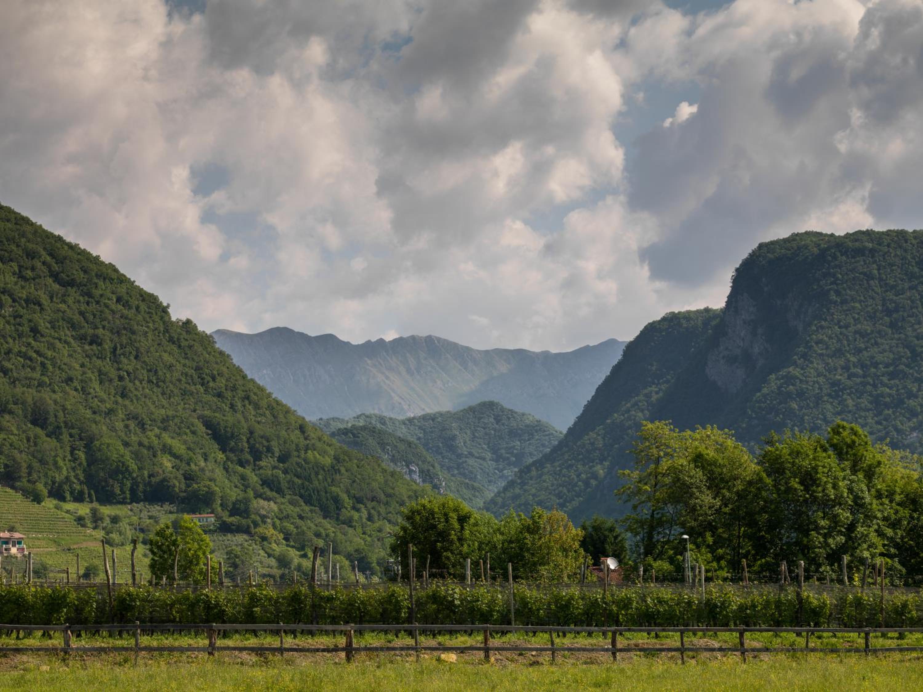 Agriturismo I Comelli