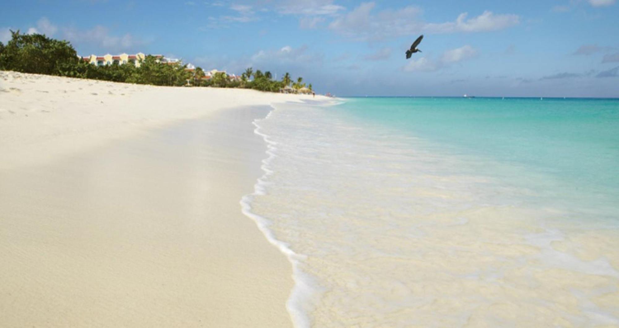 Buddha Studios Aruba